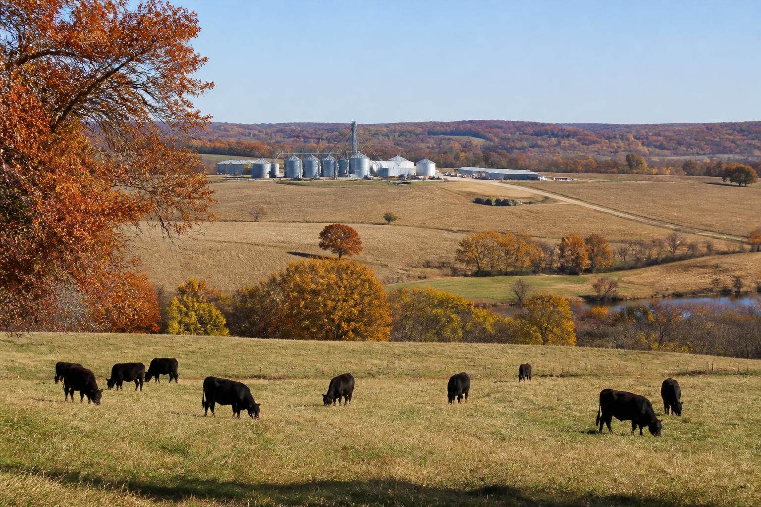Missouri Agriculture Outlook: Evaluating Policy Support and Infrastructure Shifts - AgroPost