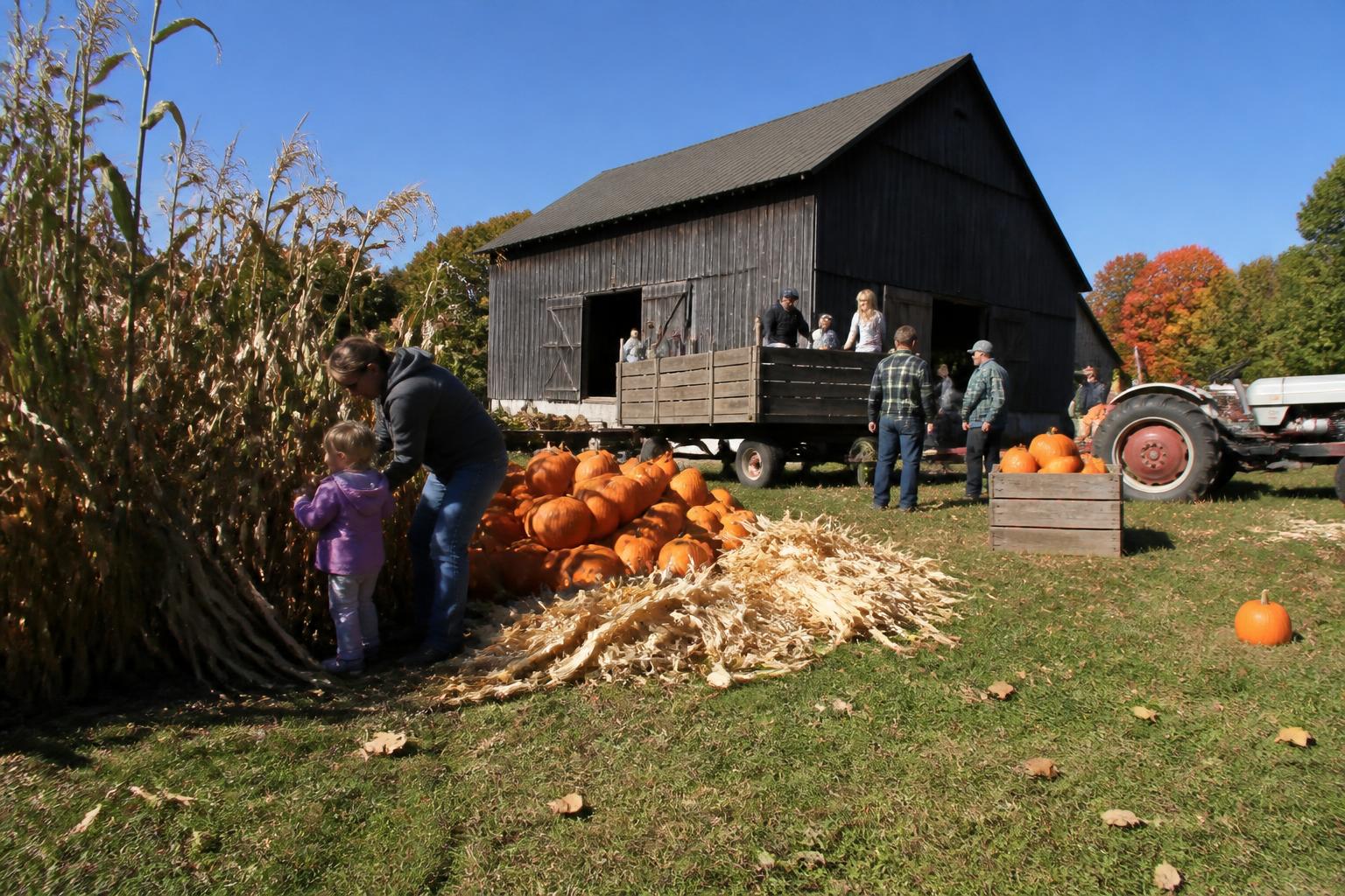 West Virginia Agriculture: Navigating Operational Costs and Infrastructure Investment - AgroPost