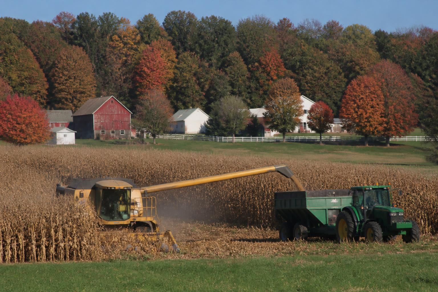 Ohio Grain Markets Navigating Seasonal Volatility and Storage Logistics - AgroPost
