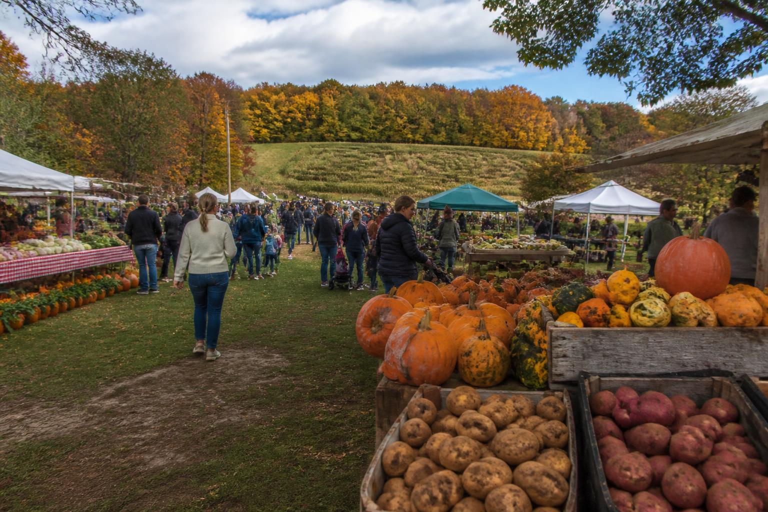 Rhode Island Harvest Pulse: Supply Chain Resilience and Seasonal Market Shifts