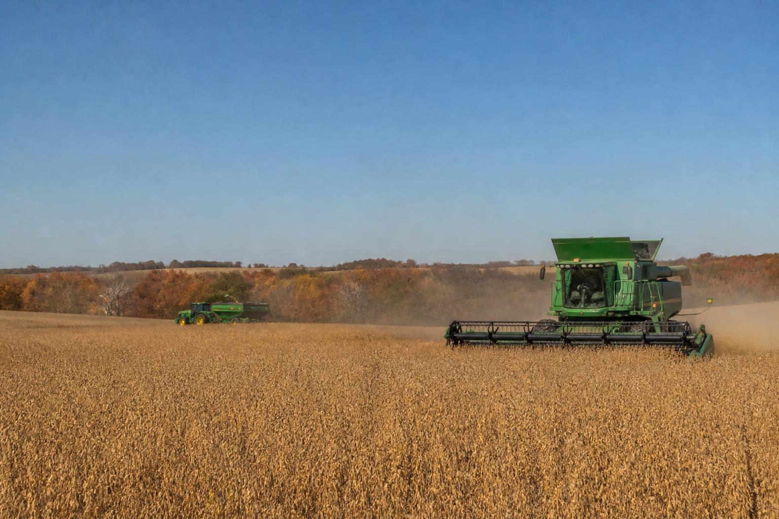 Colorado Grain Markets: October Supply and Policy Landscape - AgroPost
