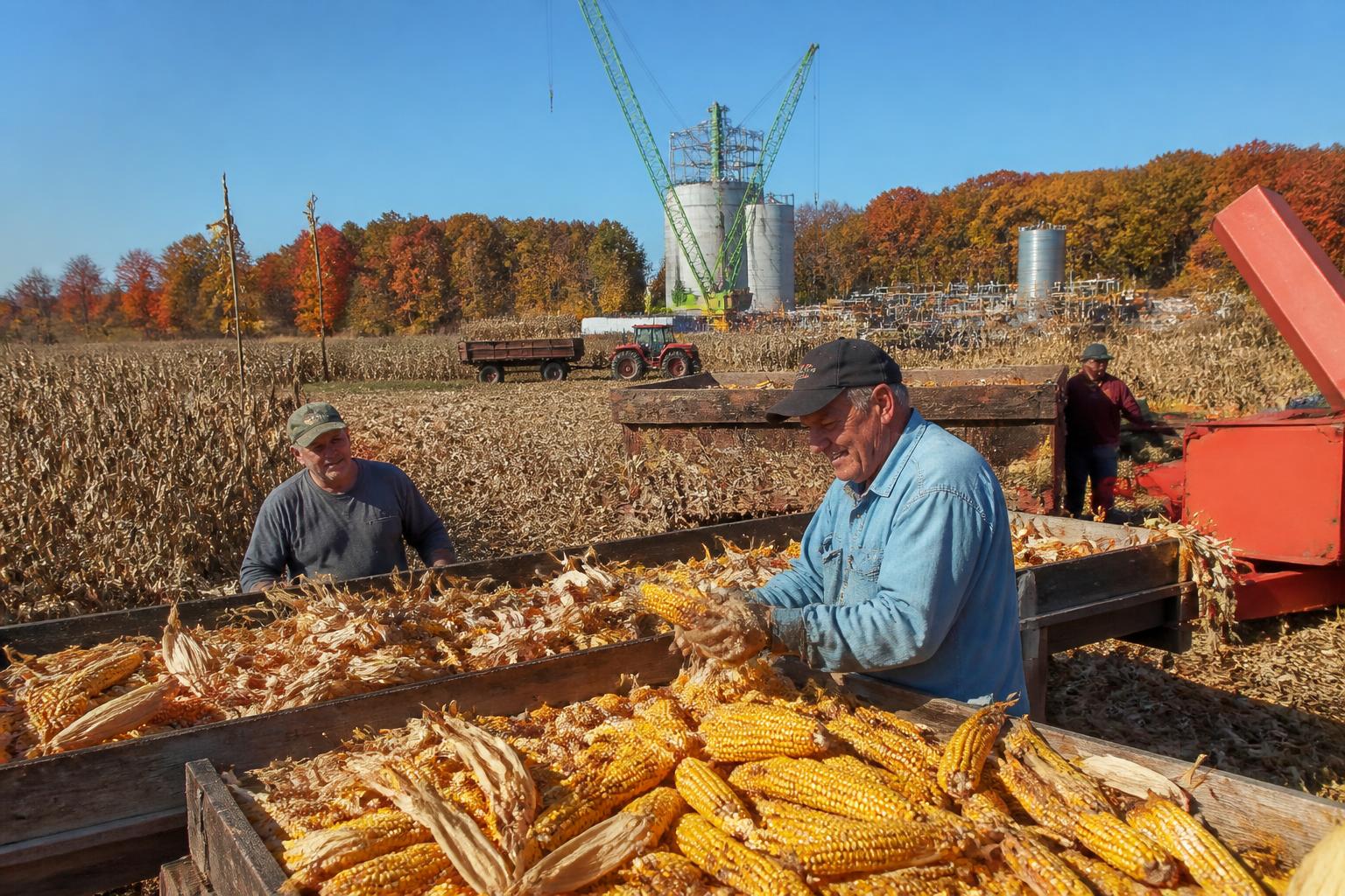 Optimizing Input Strategies: Managing Fertilizer Costs Amid Shifting Missouri Field Conditions - AgroPost