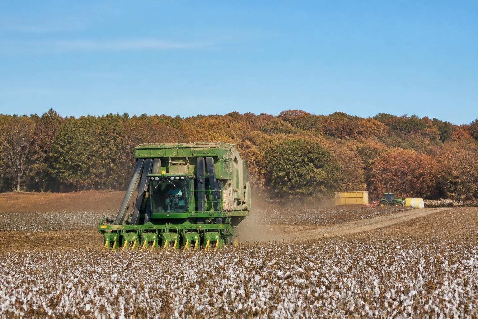 Oklahoma Market Update: Navigating Global Grain Shifts and Input Security - AgroPost