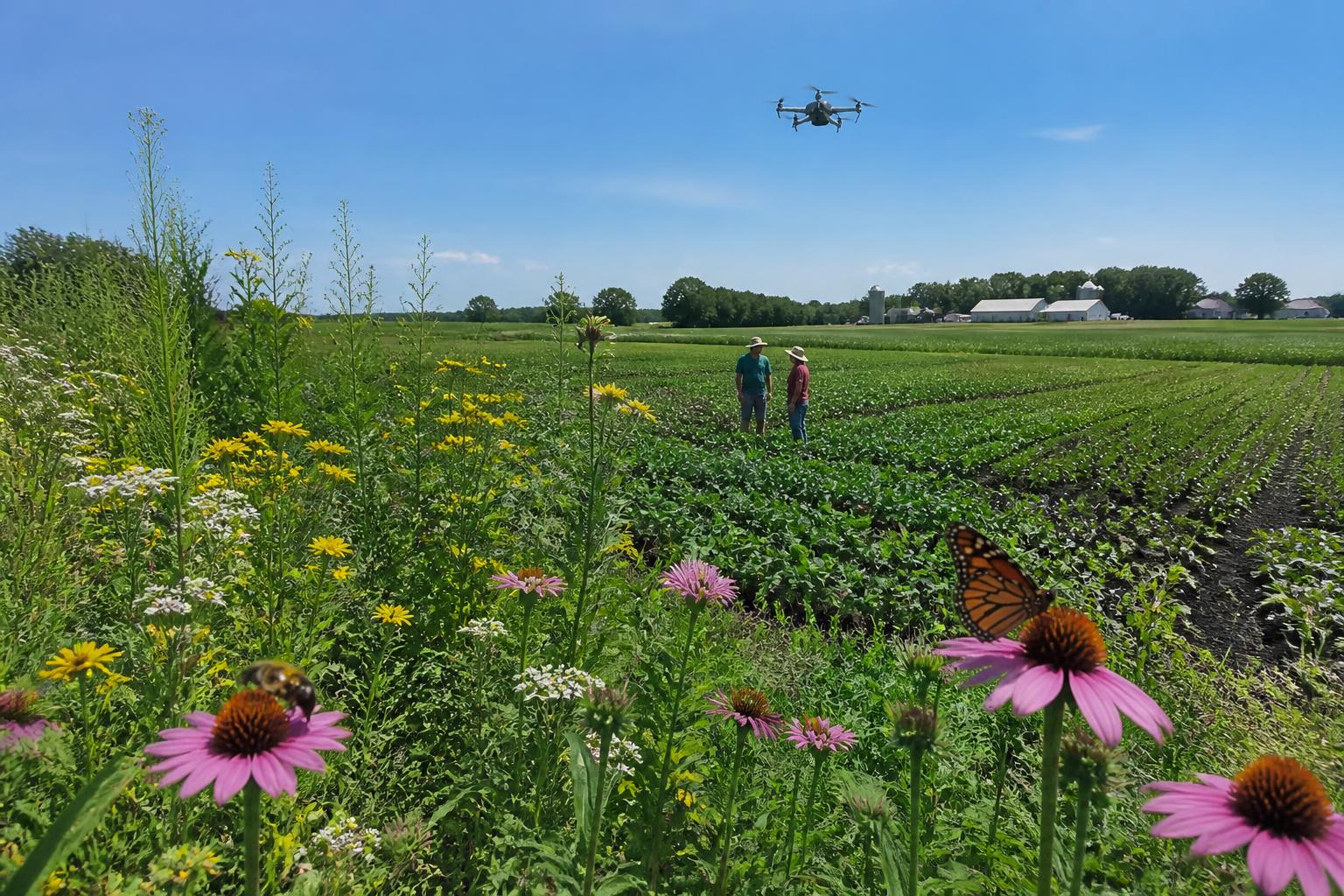 Minnesota Ag Logistics: Biofuels, Drones, and Summer Infrastructure Shifts