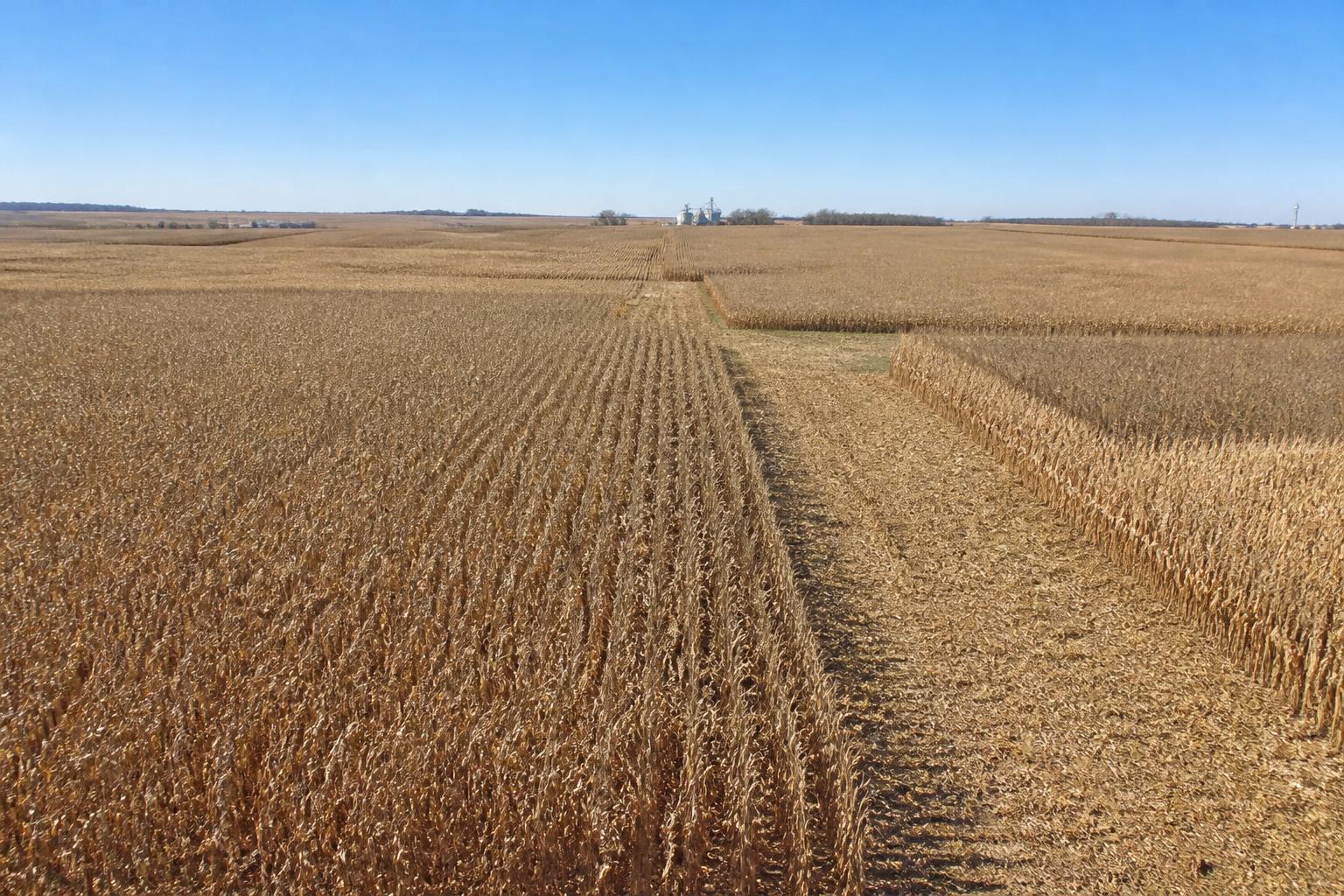 North Dakota Market Update: Managing Crop Protection and Yield Realities This Fall - AgroPost