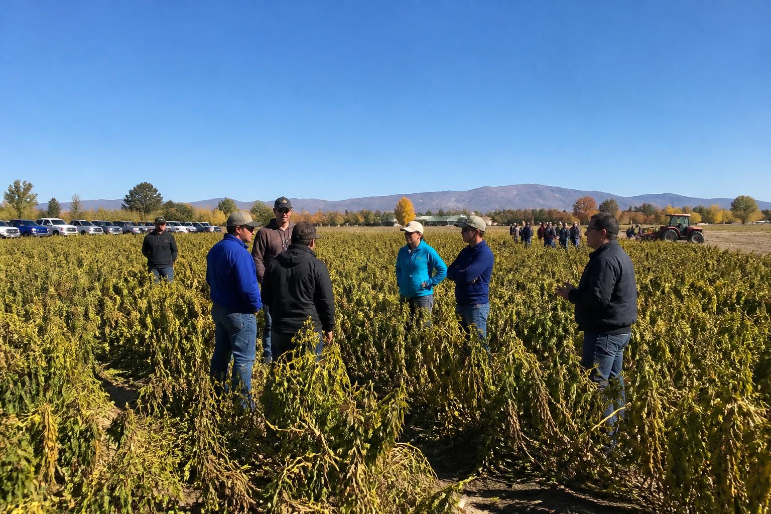 New Mexico Ag Sector Navigates Evolving Biosecurity and Input Challenges - AgroPost