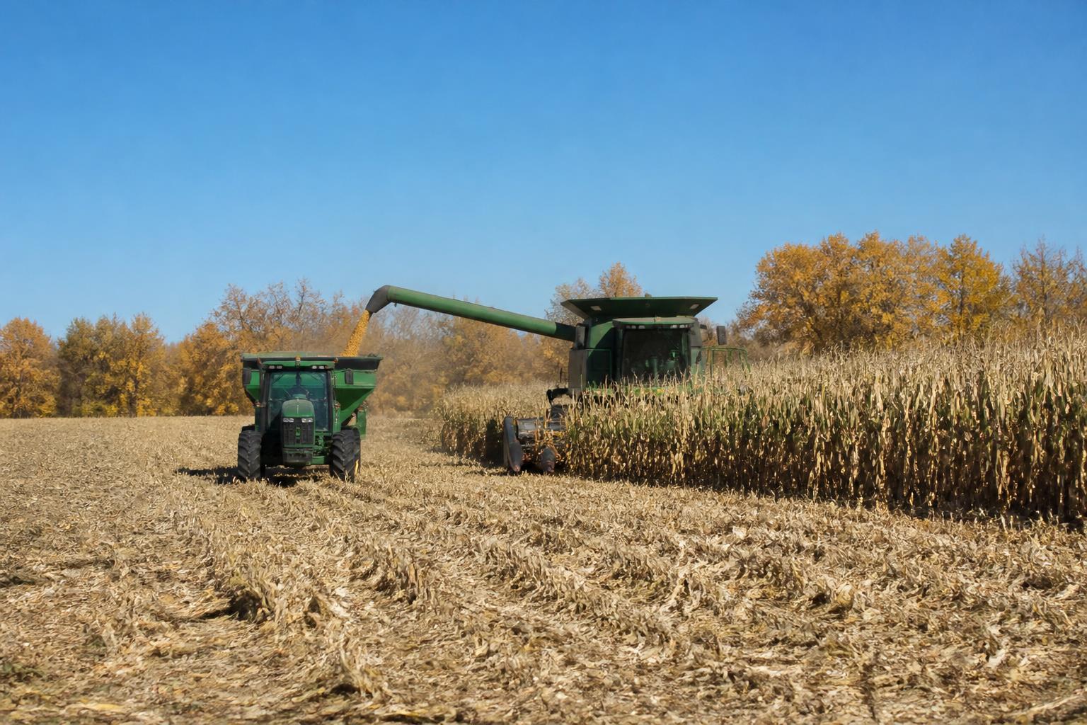 Arizona Ag Logistics: Navigating Evolving Border and Operational Challenges - AgroPost