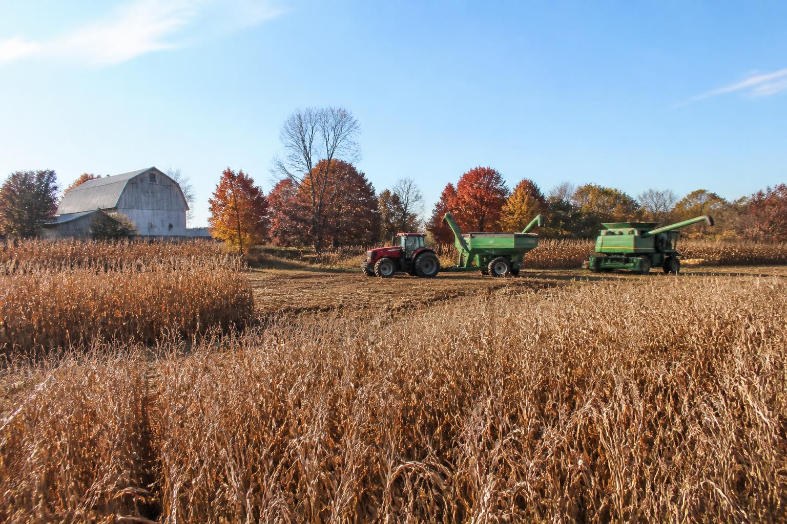 Maryland Grain Logistics: Managing Variable Harvest Costs and Market Flow - AgroPost
