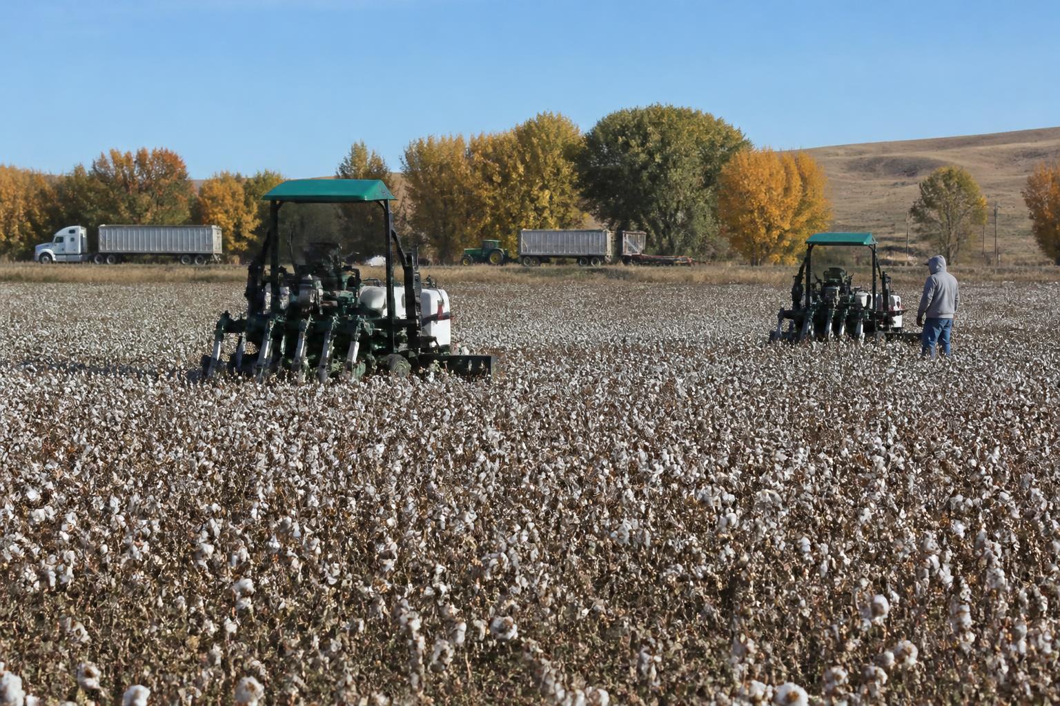 Idaho Harvest Logistics: Managing Rail Car Availability and Fall Crop Flow