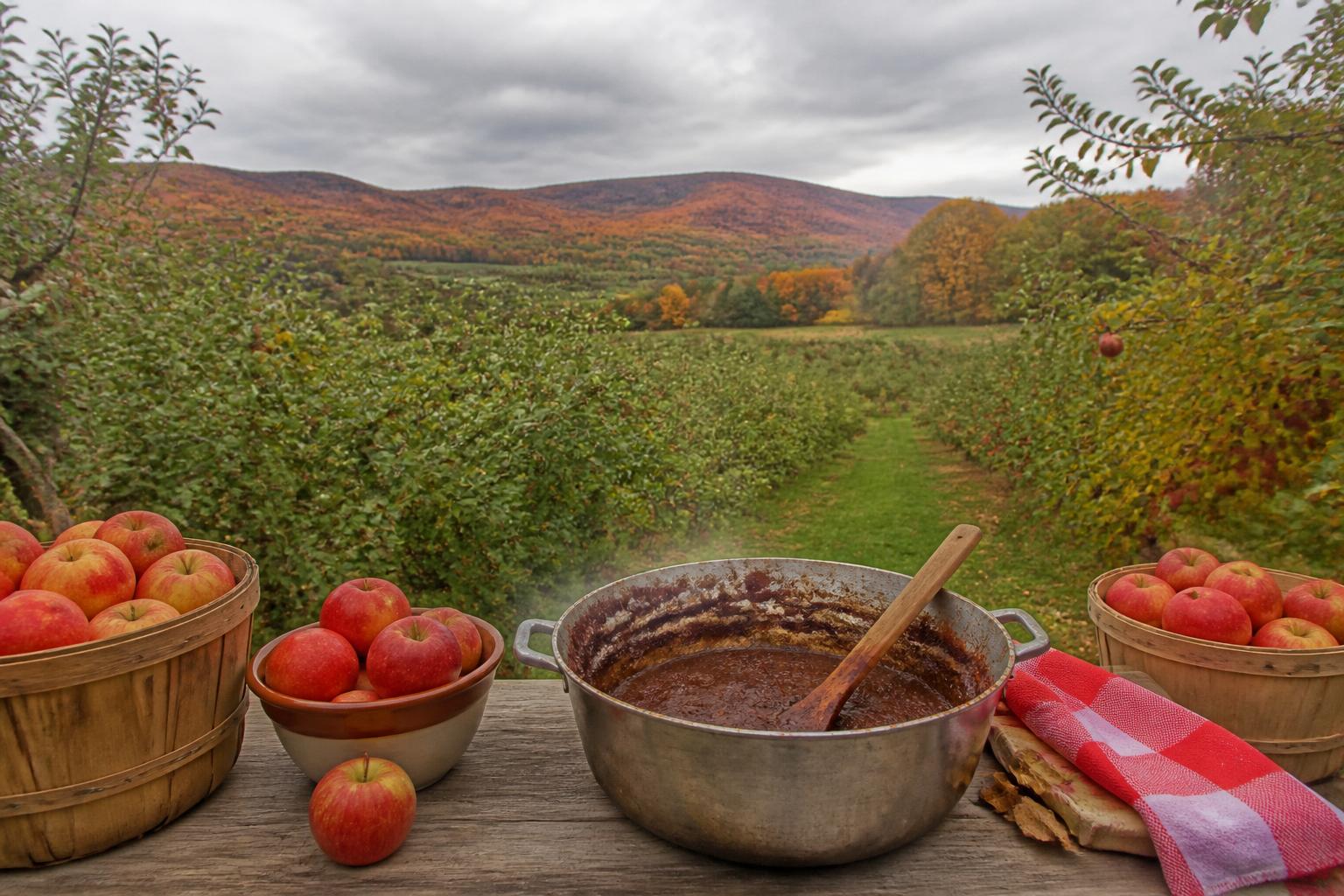 Fall Market Outlook: West Virginia Producers Prep for Seasonal Shifts - AgroPost