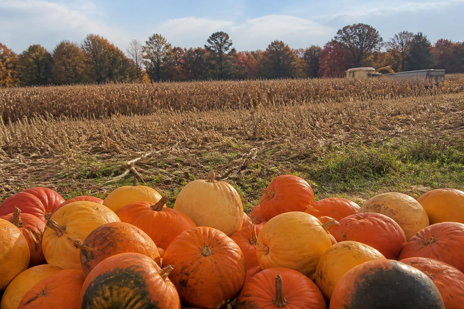 Rhode Island Fertilizer Market Outlook: Managing Supply and Cost Volatility - AgroPost