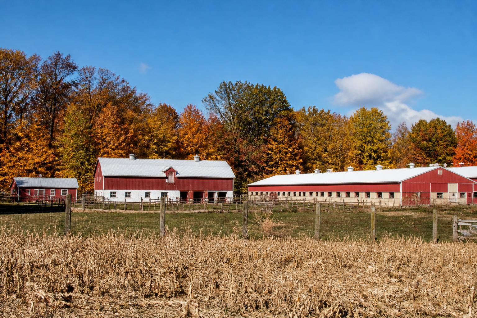 Michigan Market Outlook: Policy Shifts and Operational Costs This Fall