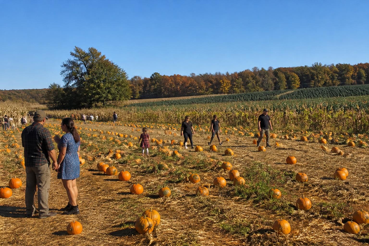 South Carolina Market Brief: Crop Protection and Nutrient Management Updates - AgroPost