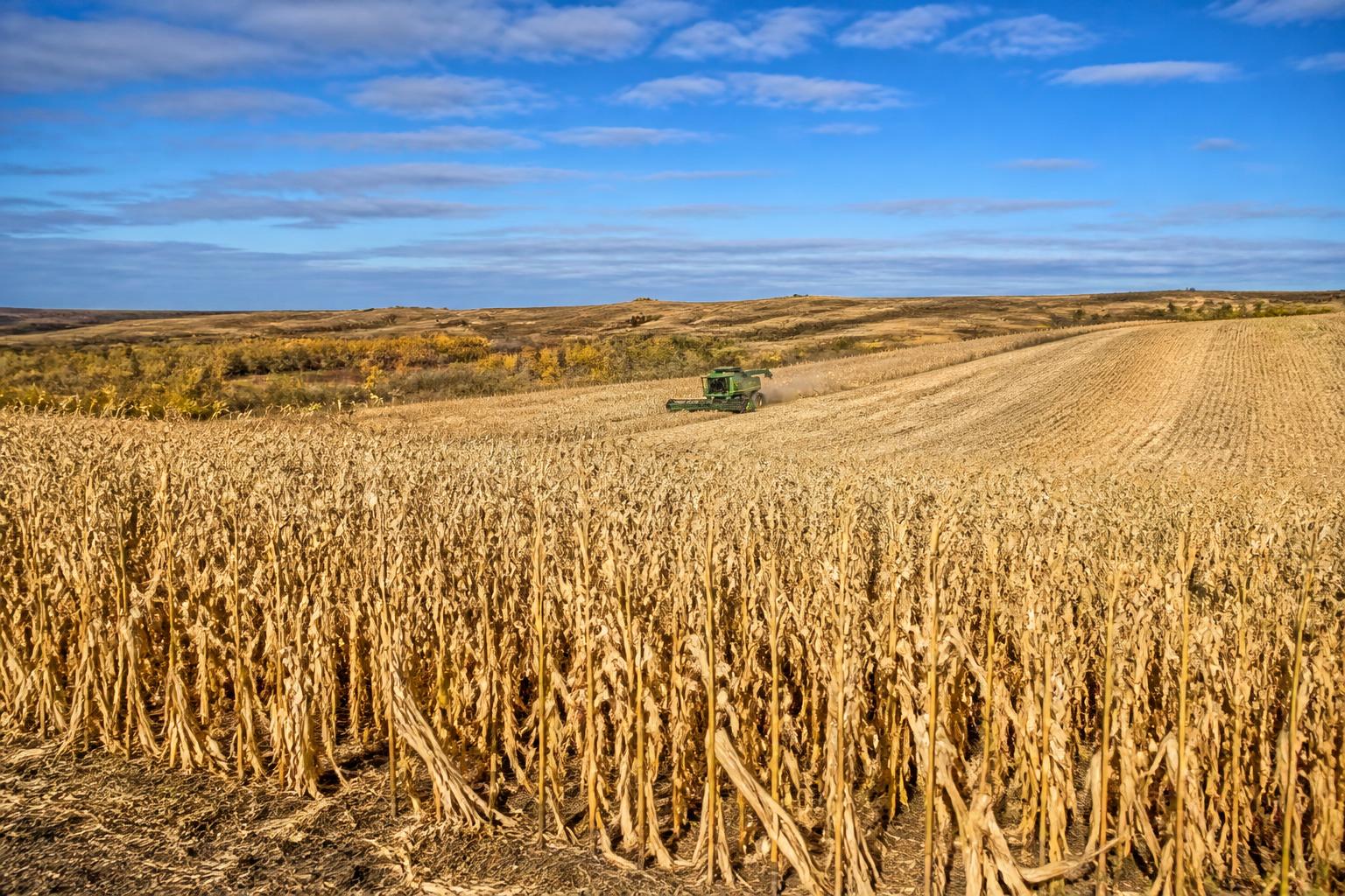 Managing Risk and Variability in the South Dakota Harvest - AgroPost