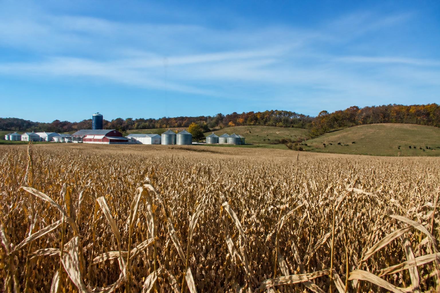 Strengthening Hawaii's Agricultural Defenses: A Focus on Biosecurity - AgroPost