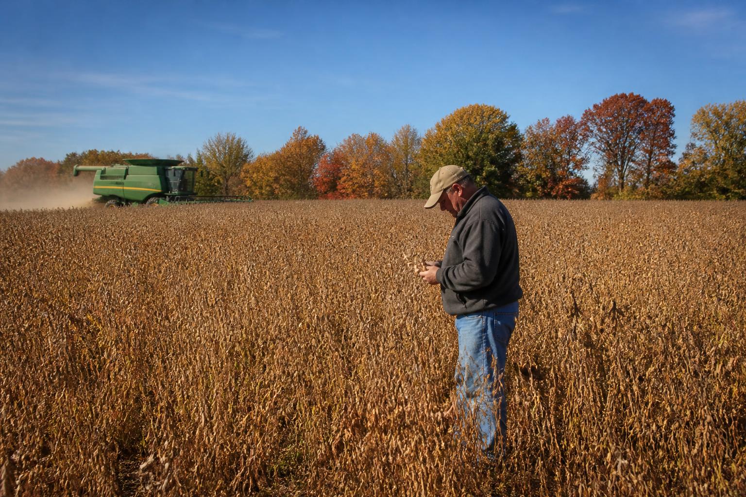 Illinois Ag Economy Faces Pressure as Harvest Logistics and Storage Needs Intensify - AgroPost