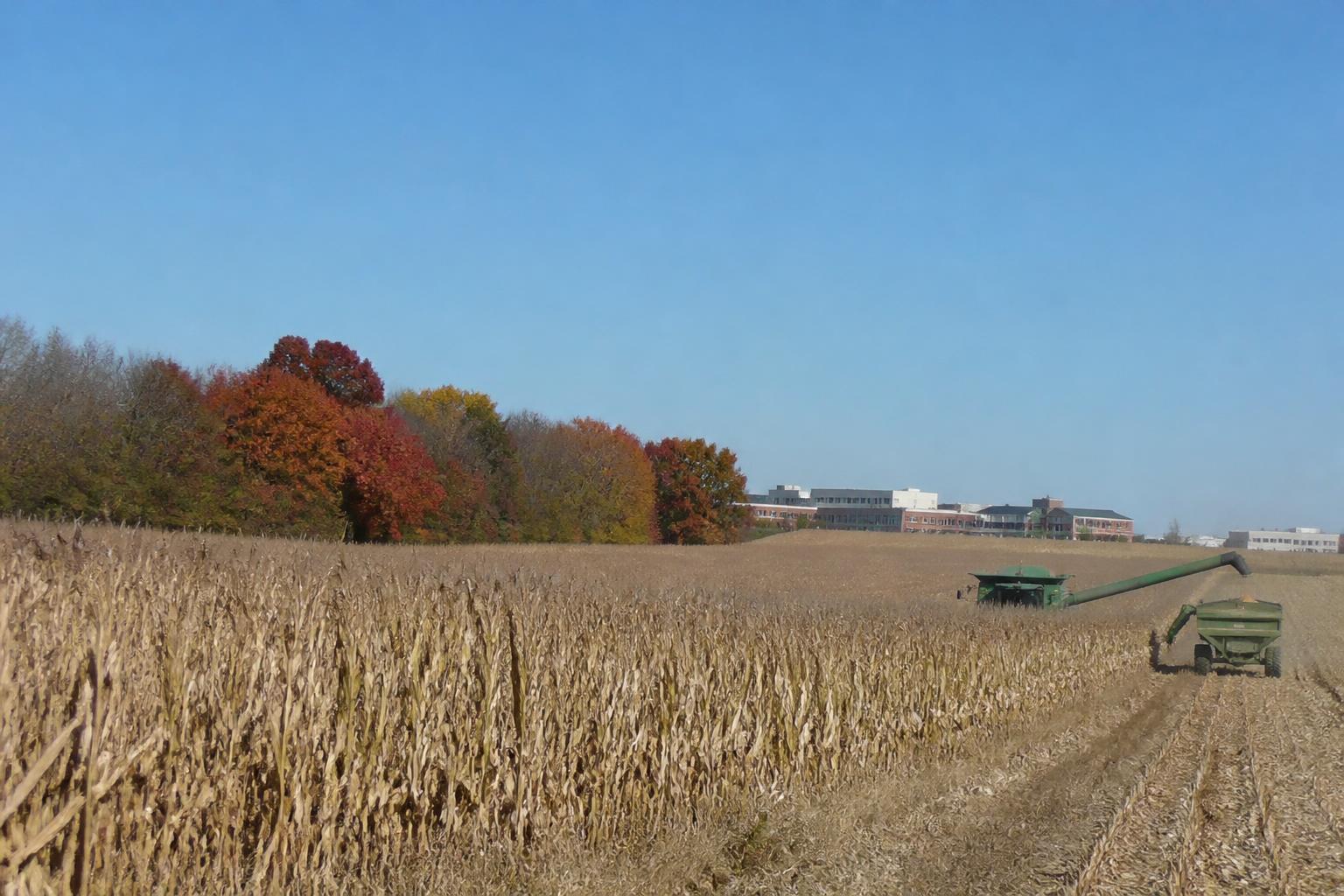 Nebraska Agriculture: Navigating Shifting Operational Realities This Fall - AgroPost