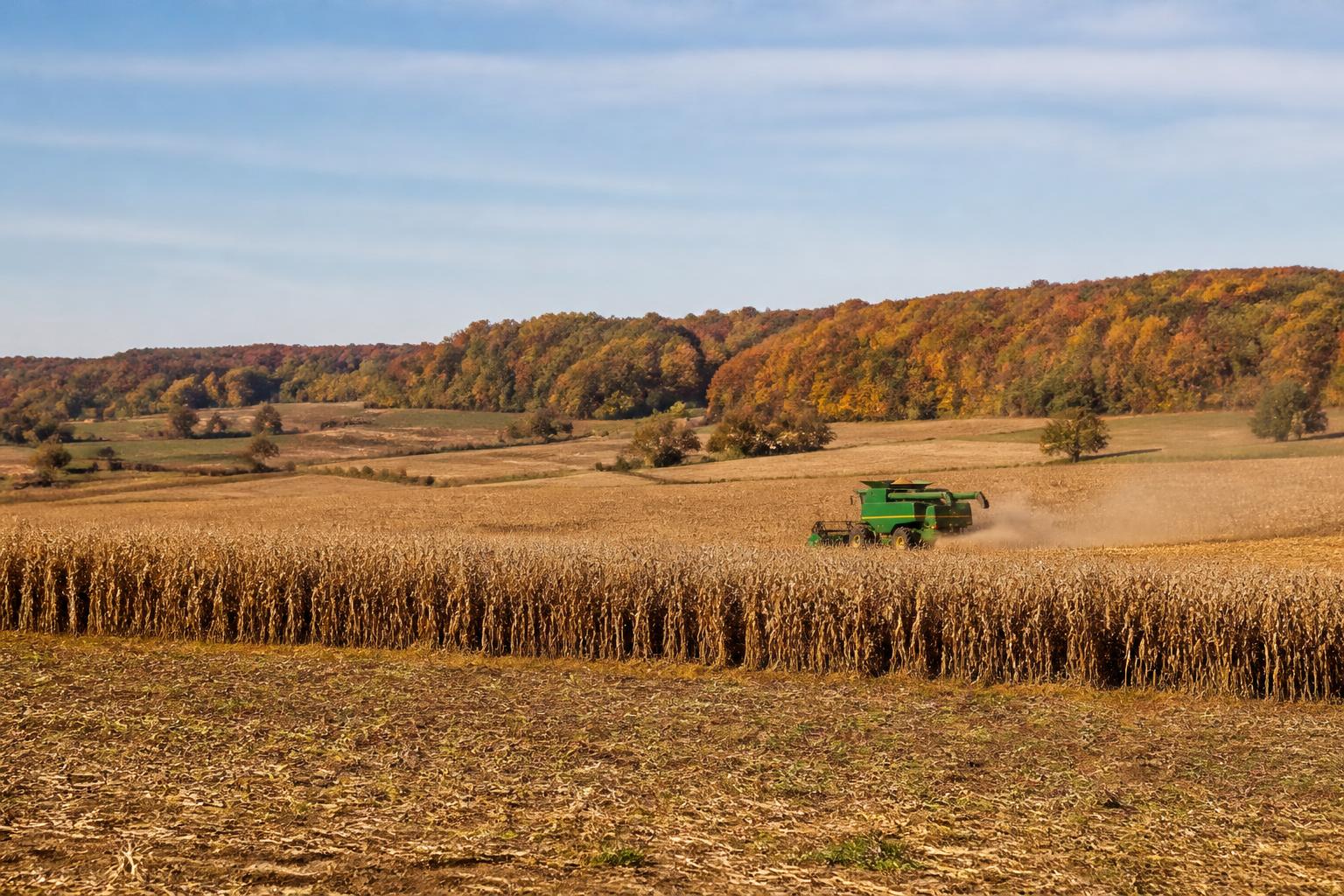 Kentucky Fertilizer Market Outlook: Assessing Supply and Strategic Nutrient Management - AgroPost