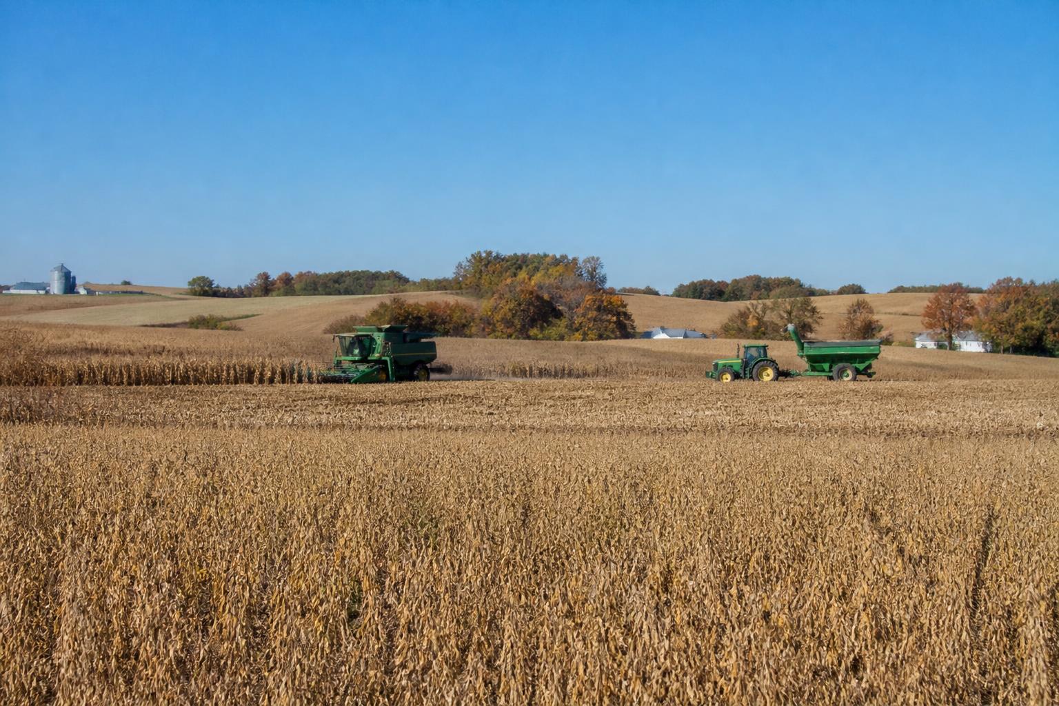 Iowa Harvest Update: Navigating Field Progress and Processing Infrastructure - AgroPost