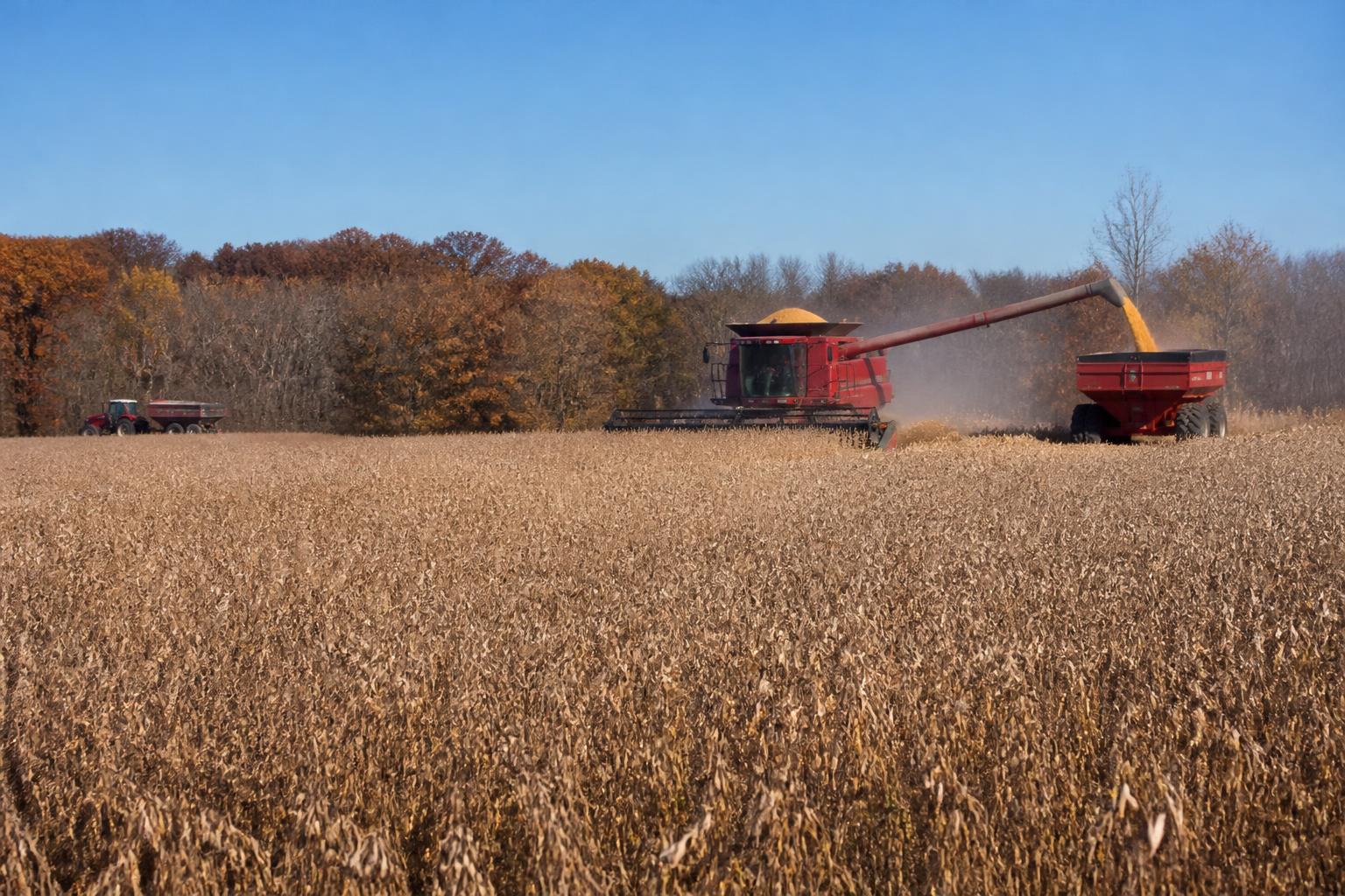 Missouri Fall Outlook: Managing Field Risk and Market Pressures - AgroPost