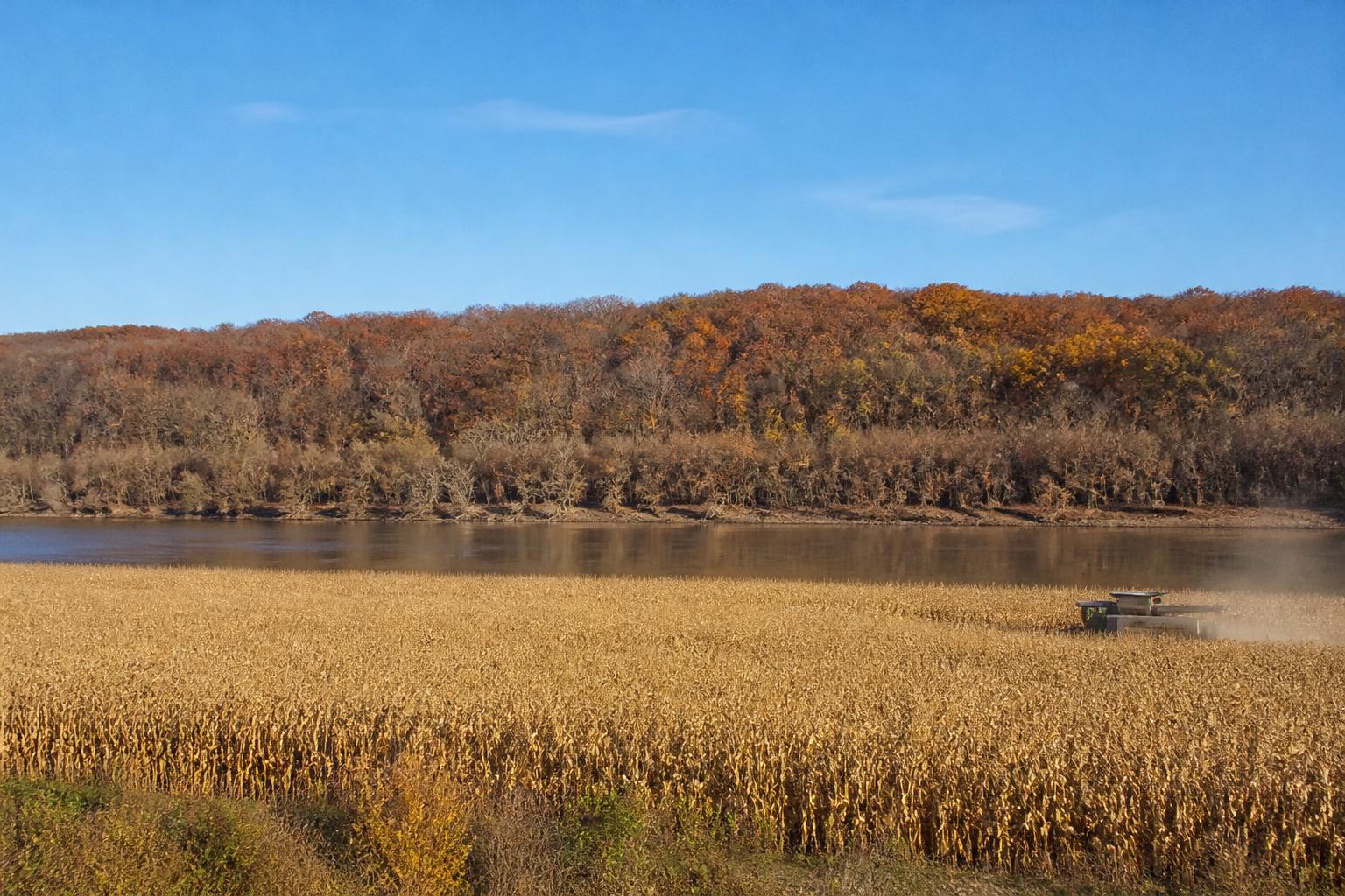 Logistics and Field Management: Navigating October Challenges in the Mississippi Delta - AgroPost