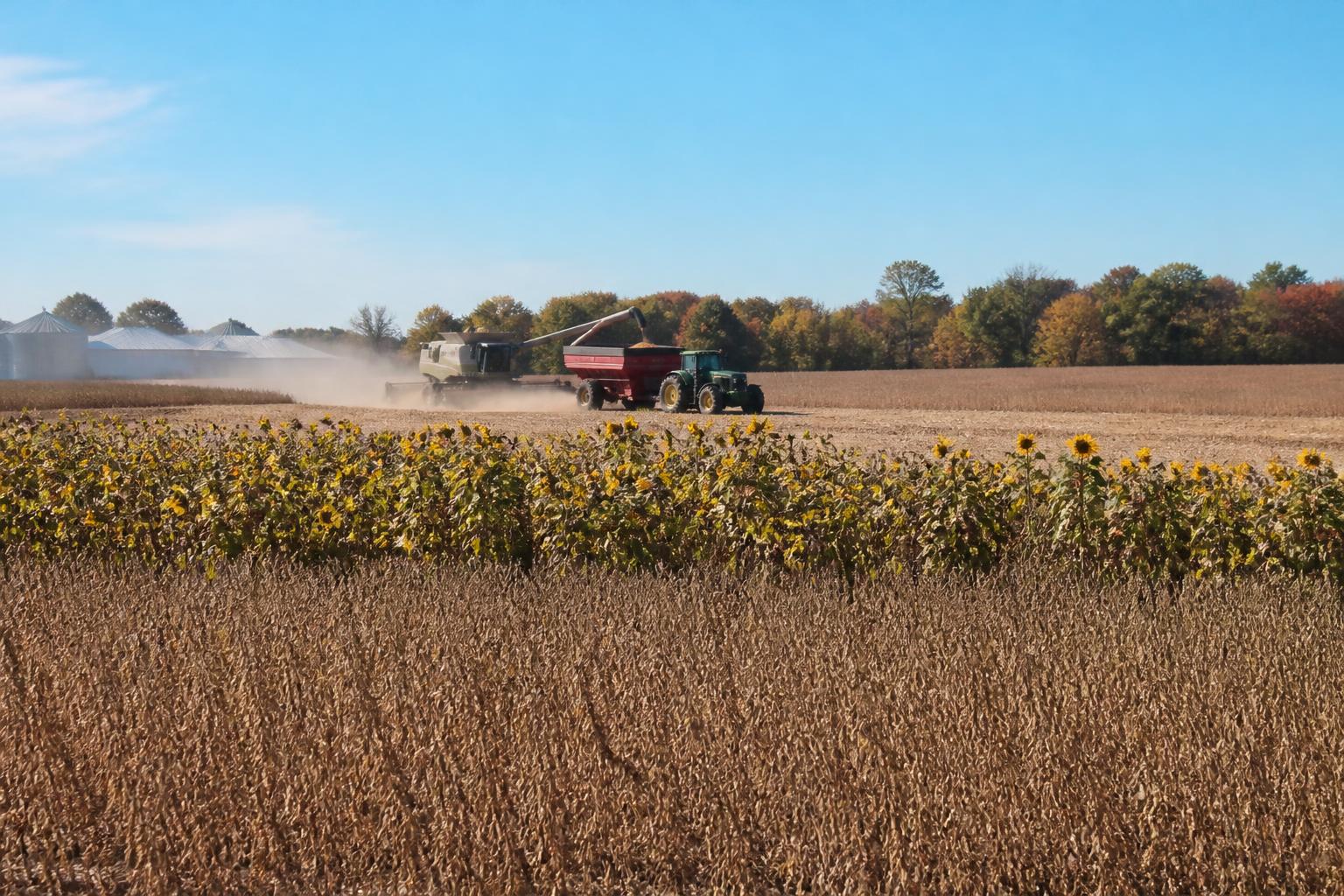 Mitigating Financial Risk in North Dakota Grain Markets - AgroPost