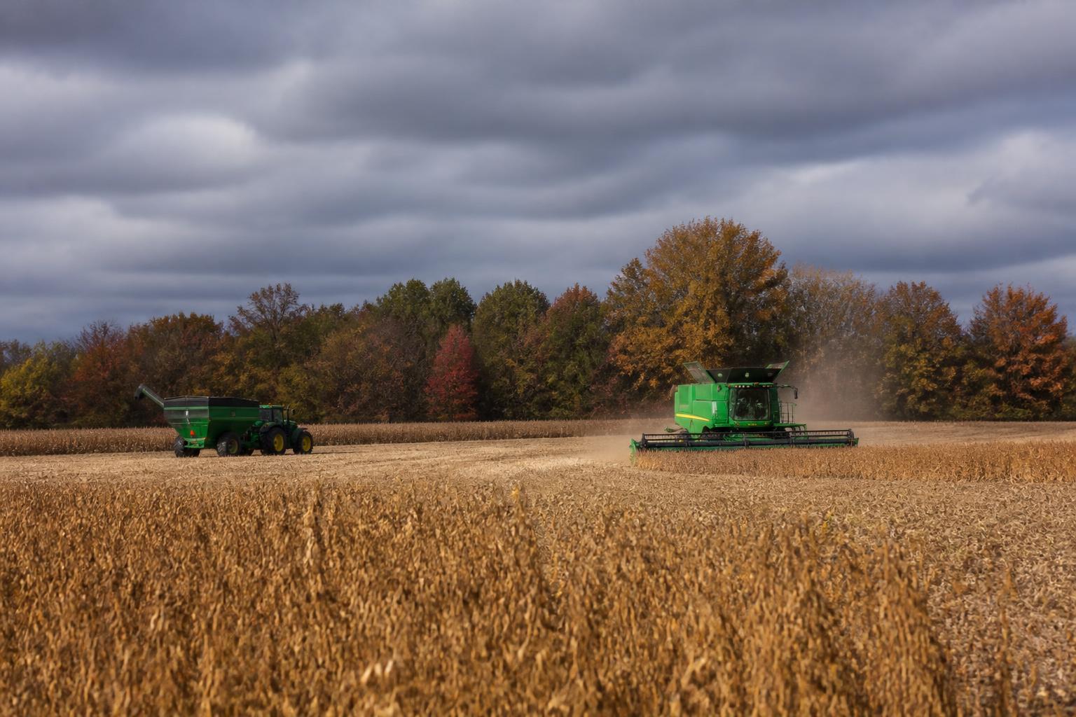 Missouri Fall Harvest: Balancing Yield Variability and Storage Constraints