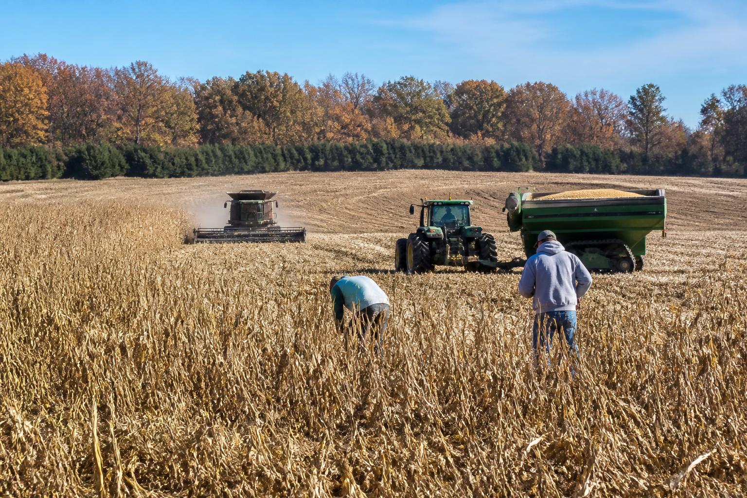 Oklahoma Grain Outlook: Wheat Ratings Inch Upward Amid Persistent Market Bearishness - AgroPost