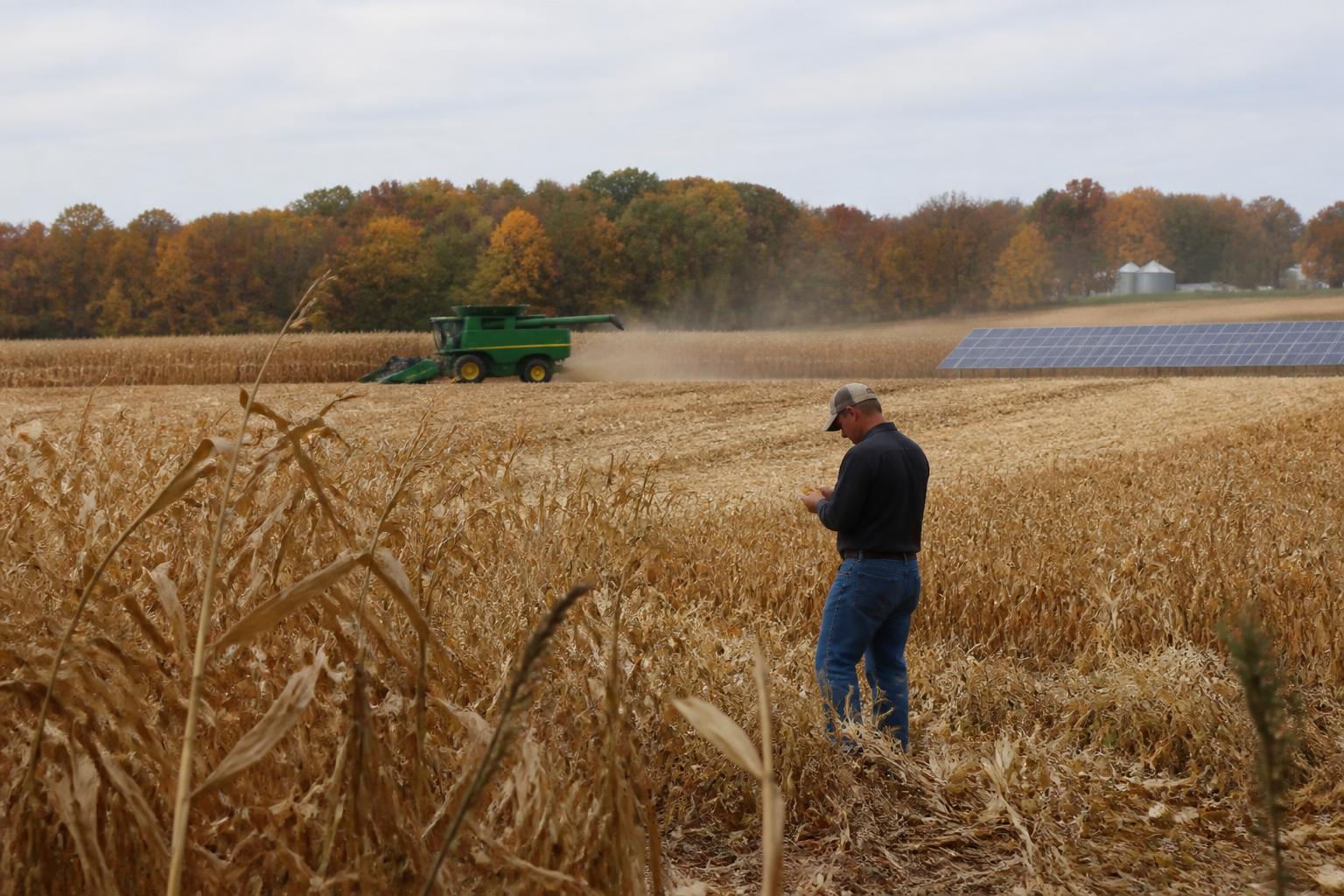 Indiana Market Update: Assessing Infrastructure and Crop Trends as Harvest Progresses - AgroPost