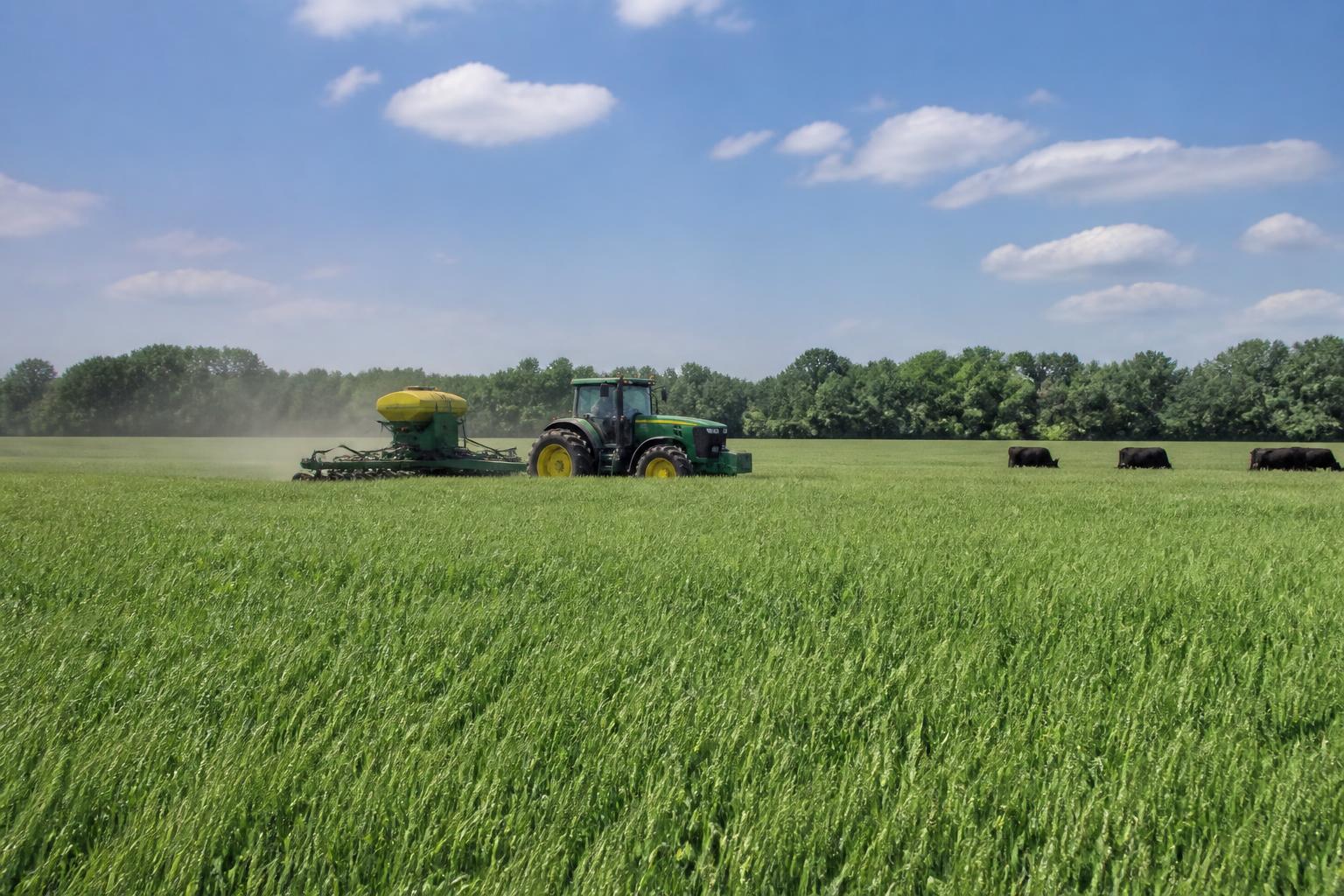 Louisiana Grain and Logistics: Navigating High Input Costs and River Corridor Pressures in Summer 2026