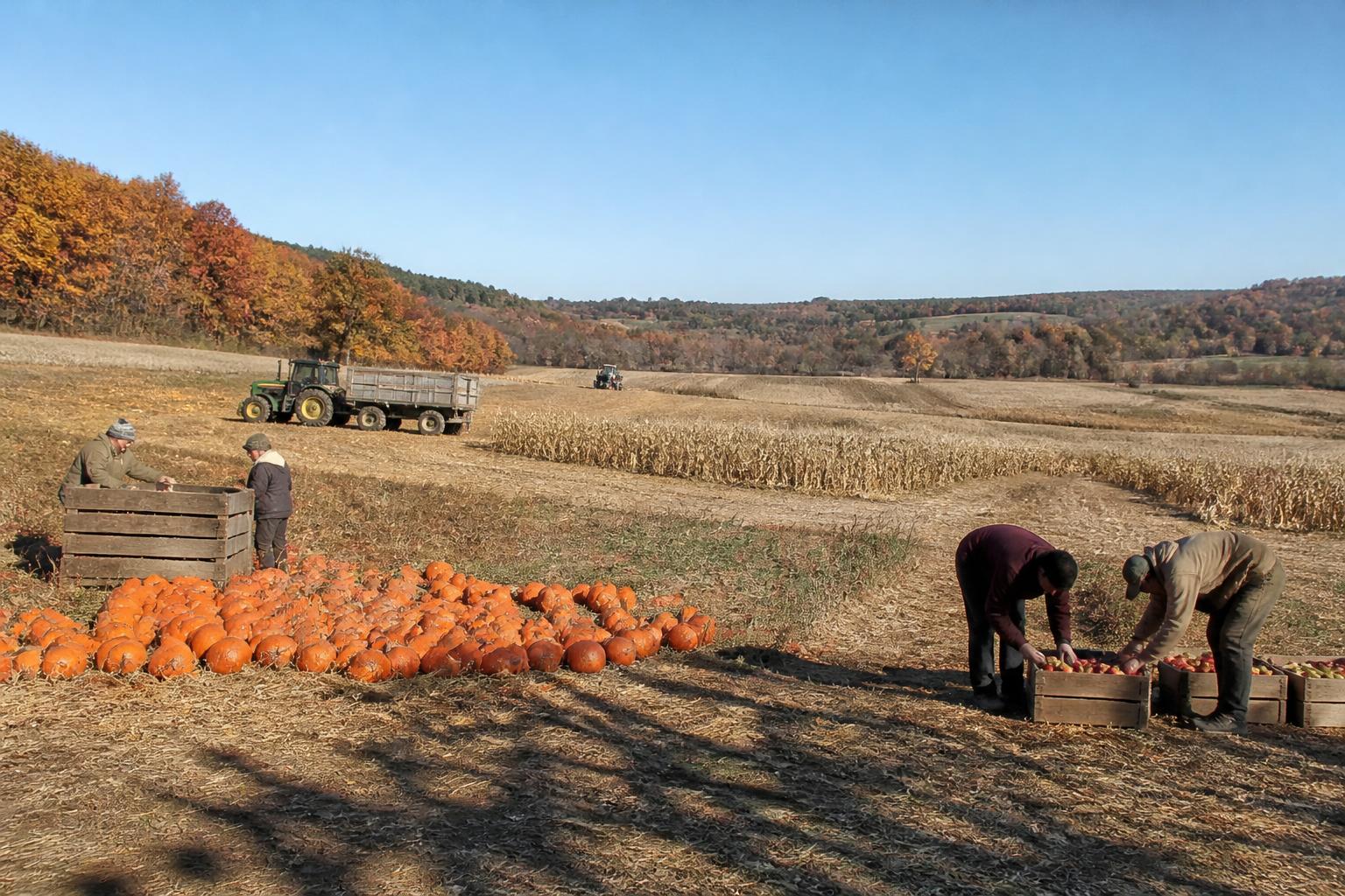 Washington Ag Logistics: Assessing Supply Chain Pressures This Fall - AgroPost