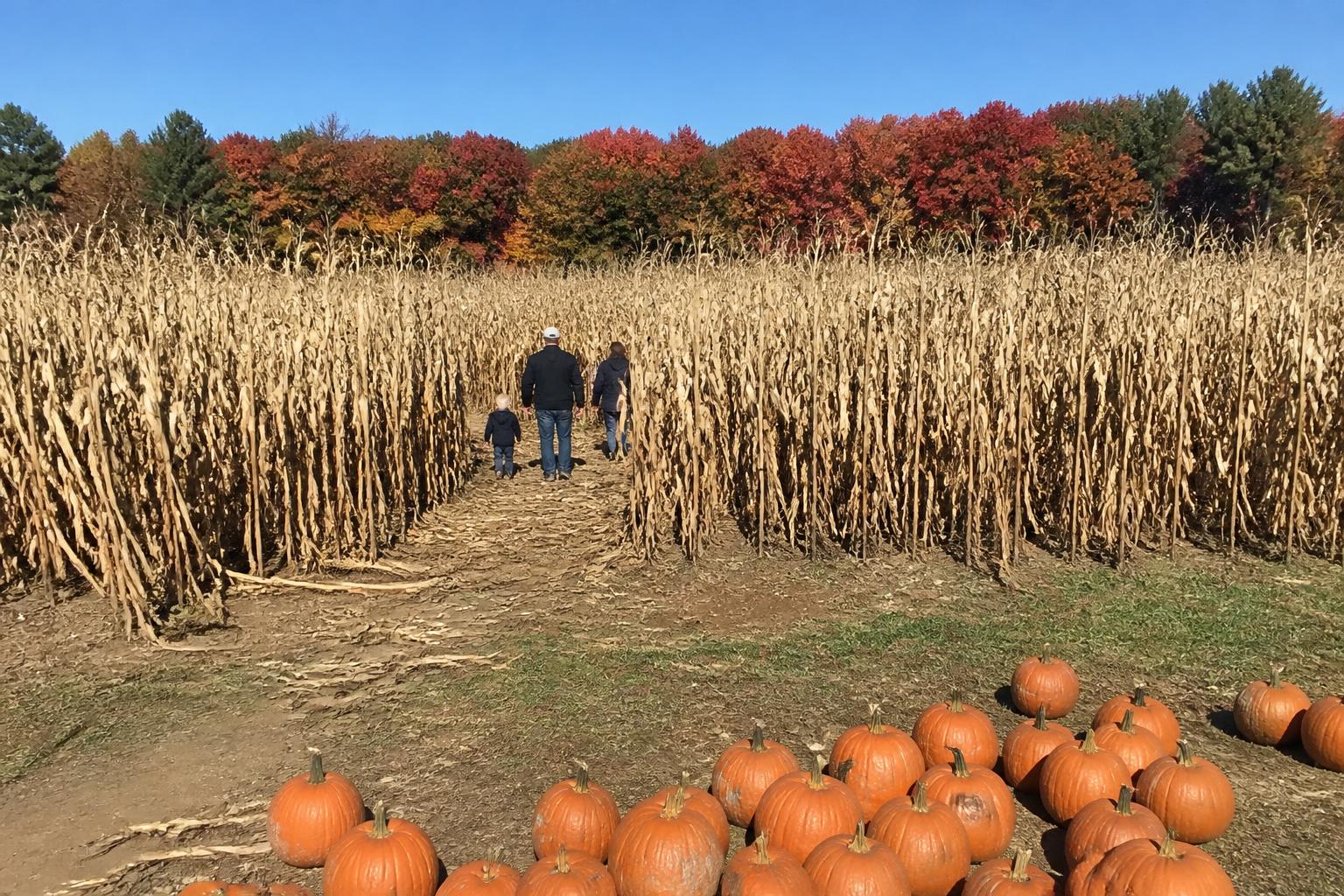 Protecting Maine's Fall Harvest and Soil Integrity - AgroPost