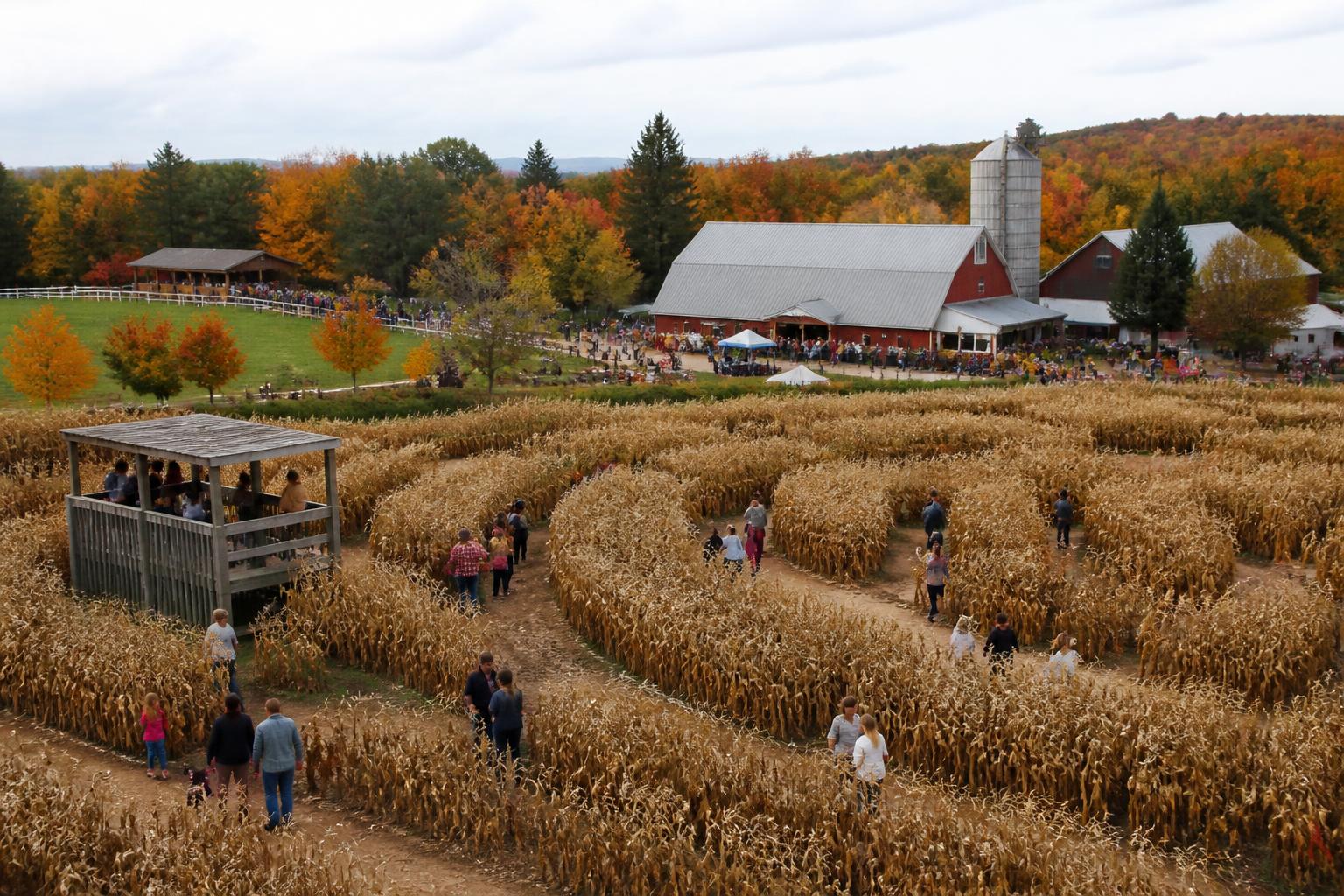 Fall Market Outlook: Navigating New Hampshire's Shifting Agricultural Landscape - AgroPost
