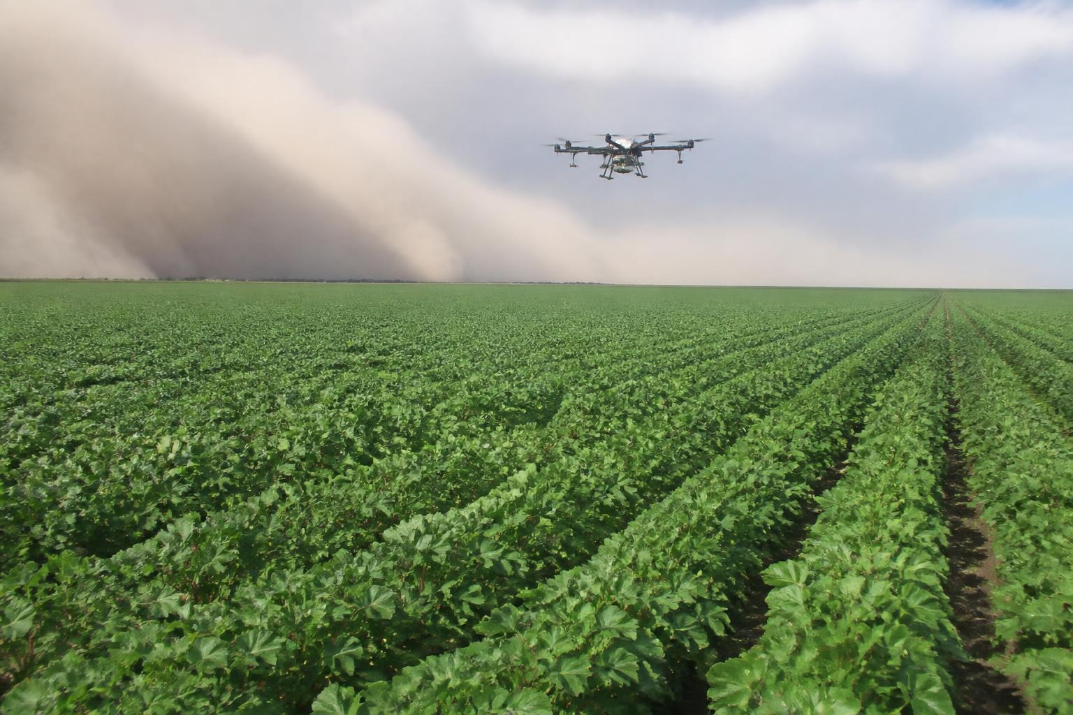 Texas Fertilizer Market: Navigating Cost Pressures, Supply Investigations, and Summer Logistics