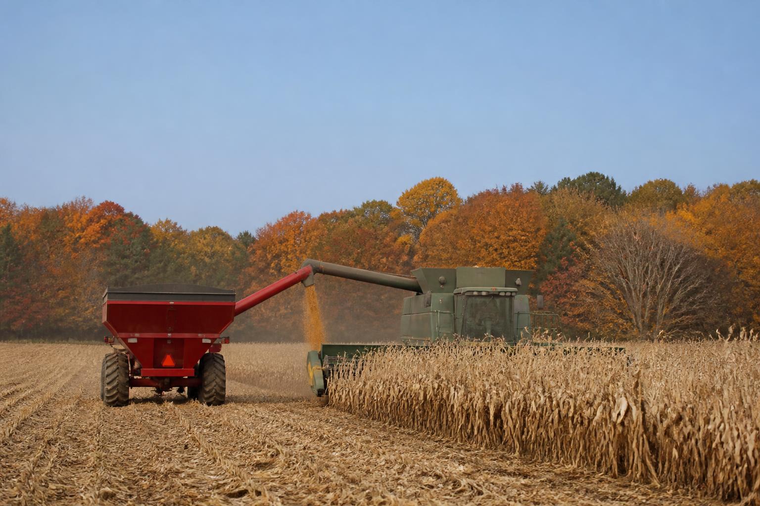 Massachusetts Producers Navigate Regulatory and Logistics Challenges this Fall - AgroPost