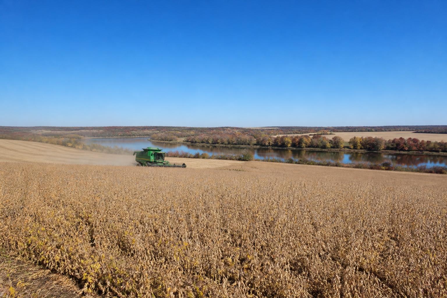 Arkansas Harvest Update: Logistics and Production Pressures in the Field - AgroPost