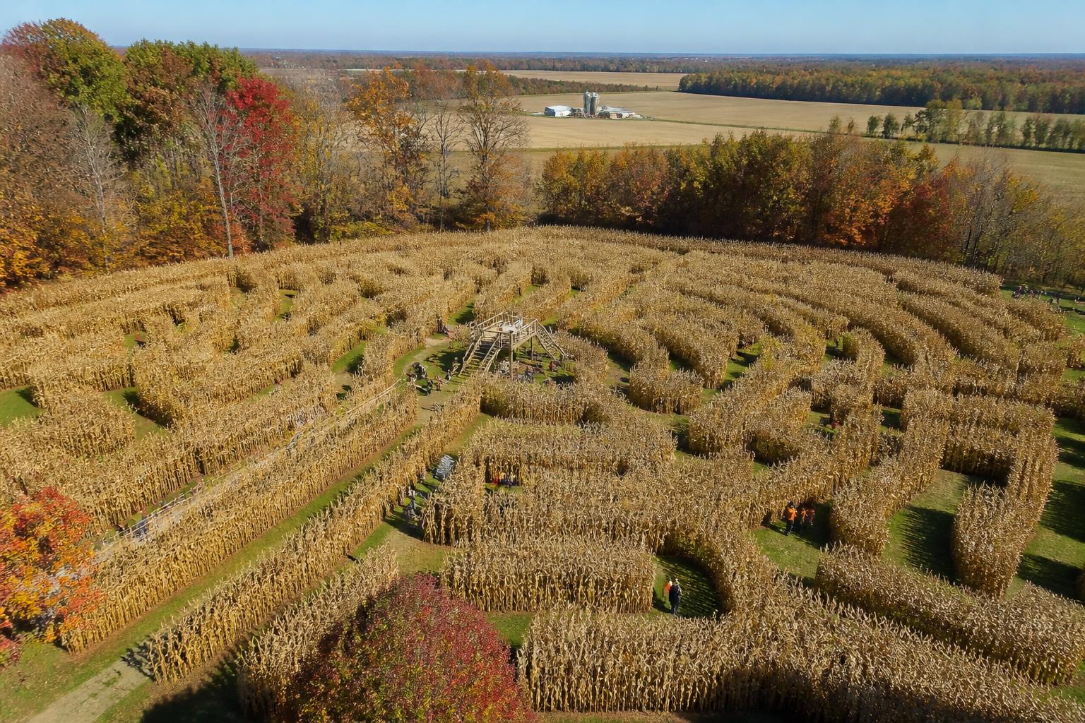 Fall Market Review: Supply Chain Resilience and Regional Outlook in New Hampshire - AgroPost