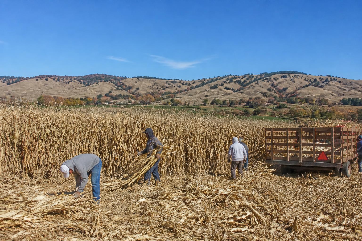 California Growers Balance Input Security and Regulatory Compliance This Fall - AgroPost