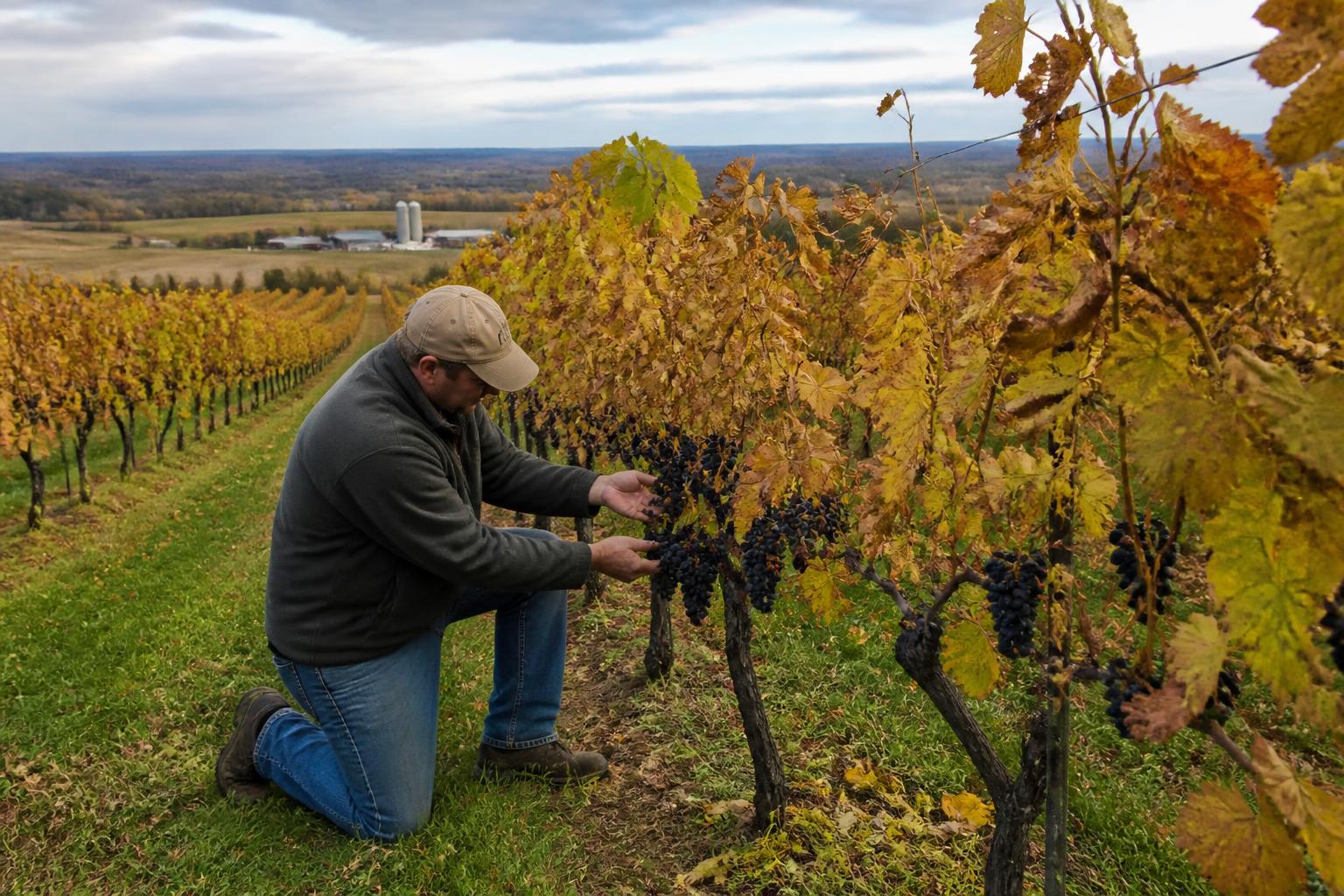 Pennsylvania Agricultural Outlook: Harvest Momentum and Land Preservation Efforts