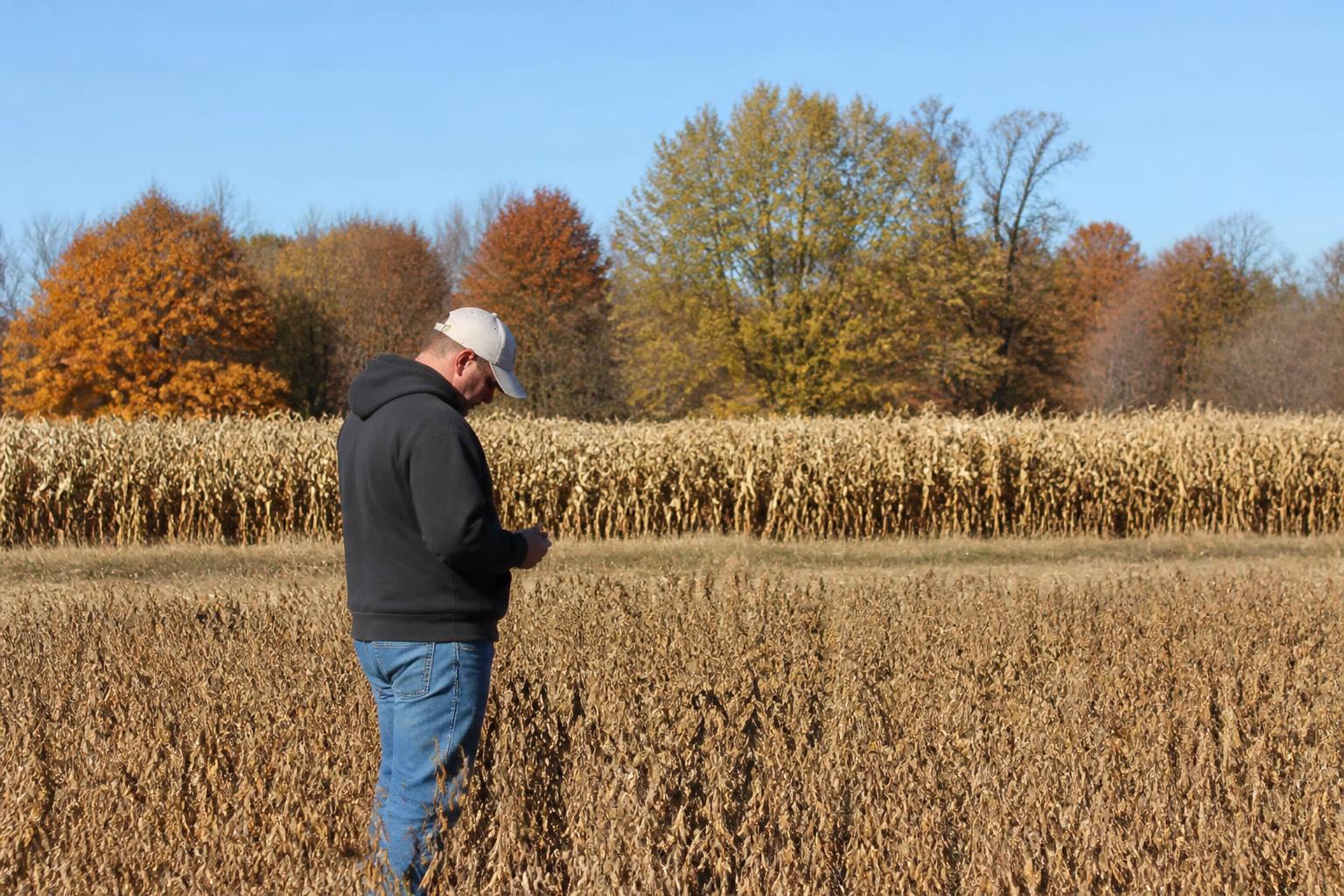 Productores de Nebraska evalúan cambios en la protección de cultivos ante incertidumbre regulatoria - AgroPost