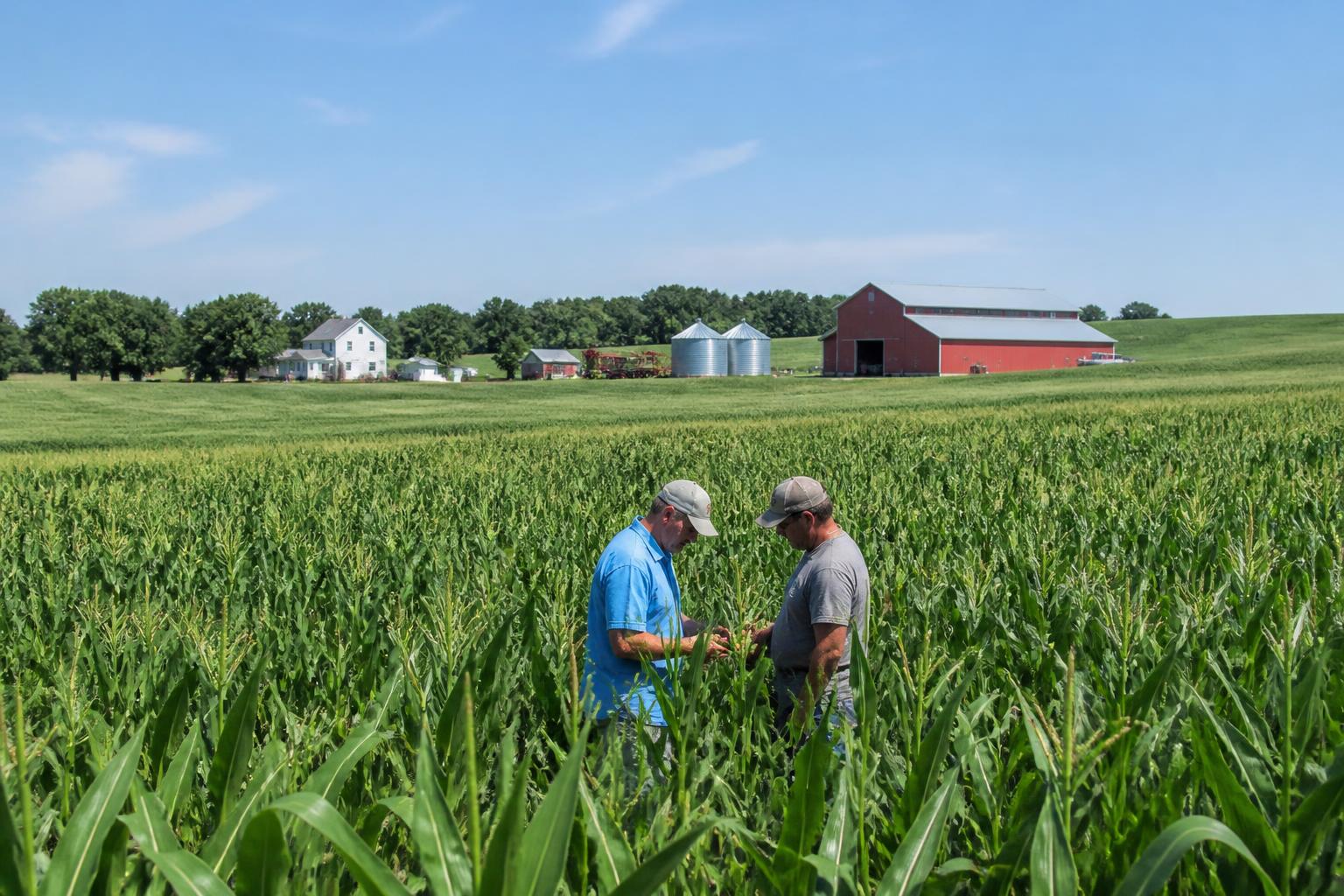 South Dakota Agrologistics: Summer Roadside Rules and Processing Shifts Easing Freight Pressures
