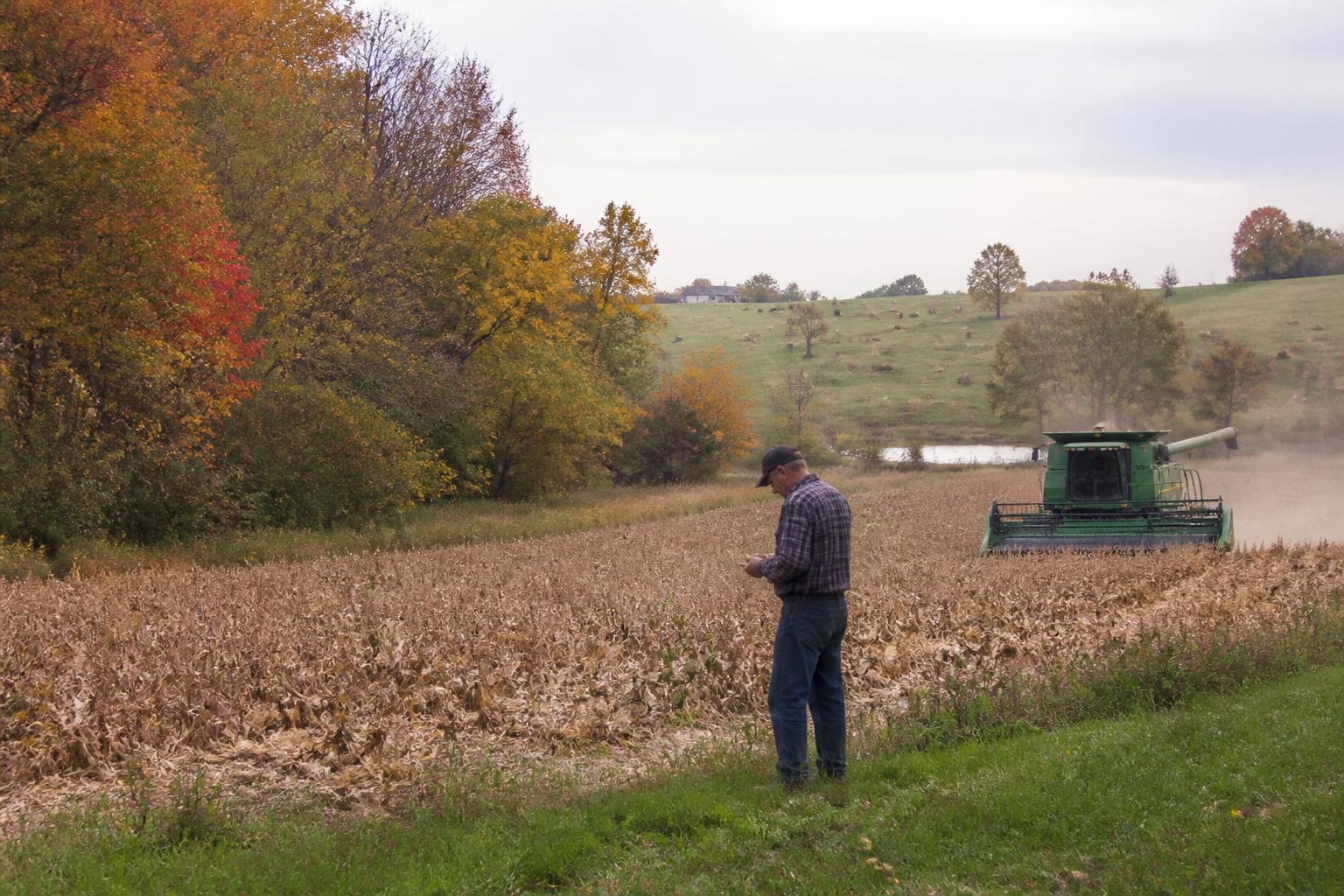Tennessee Fertilizer Planning: Aligning Fall Operations with Cost-Share Opportunities