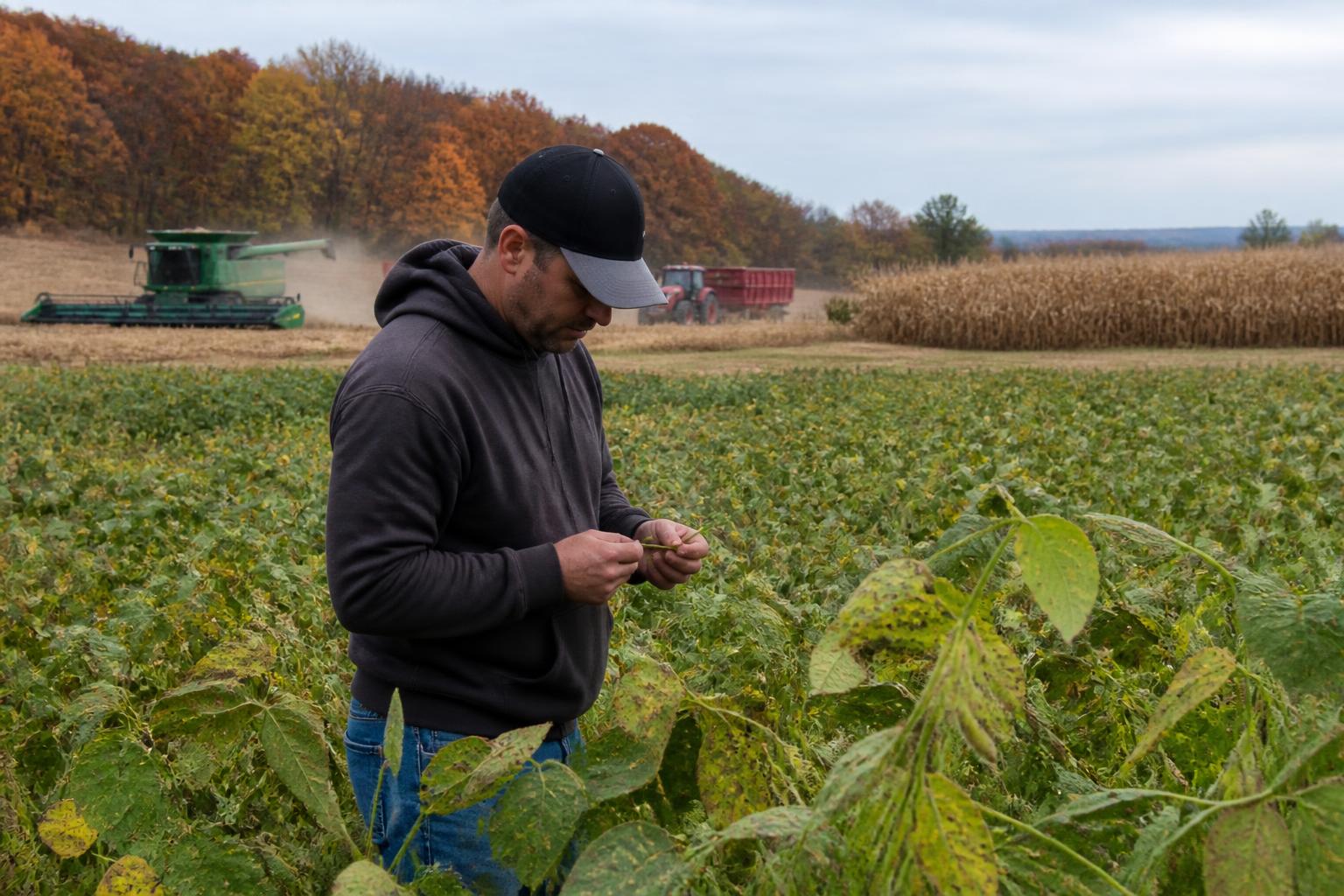Managing Iowa Crop Health: Weed Resistance and Pest Pressure in the Final Stretch - AgroPost