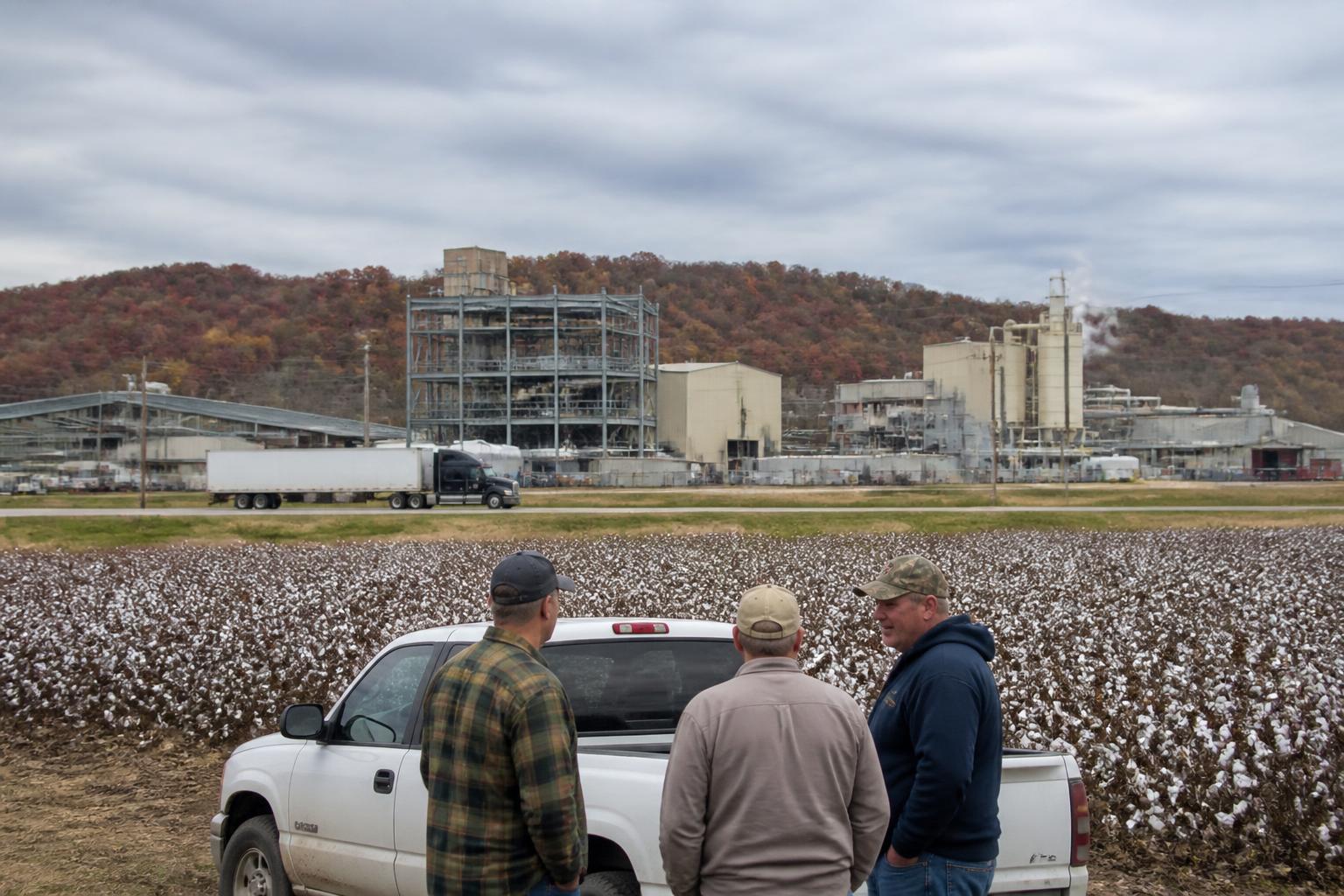 Arkansas Agriculture Market Outlook: Navigating Logistical Hurdles and Economic Constraints - AgroPost