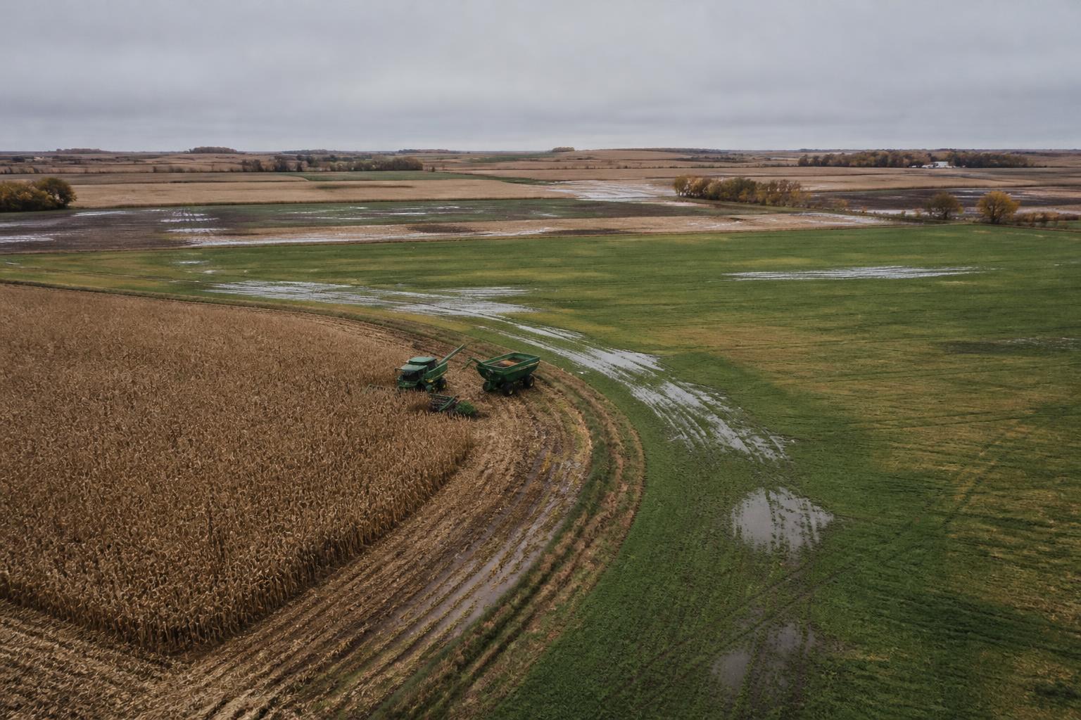 Managing Harvest Delays and Storage Constraints in South Dakota - AgroPost