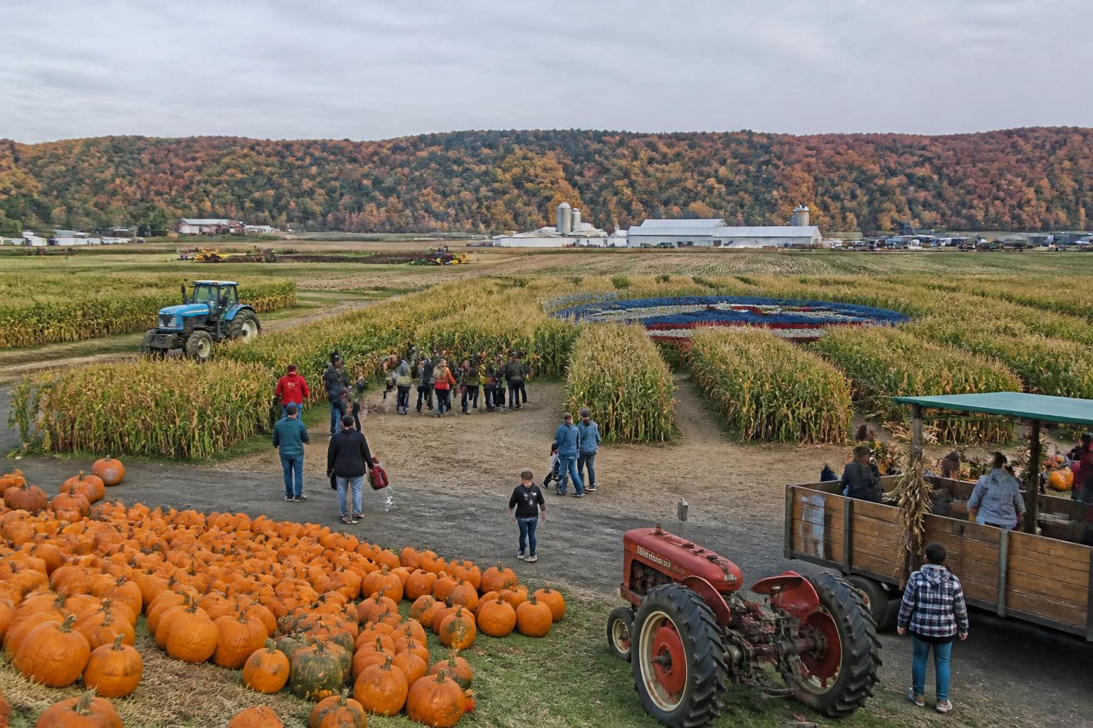 Fall Logistical Pressures and Supply Chain Shifts in New York Agriculture - AgroPost