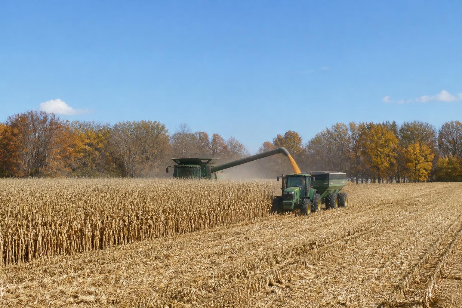 Manejo de Cultivos en Delaware: Evaluando Cambios Regulatorios y Presiones de Plagas Este Otoño - AgroPost