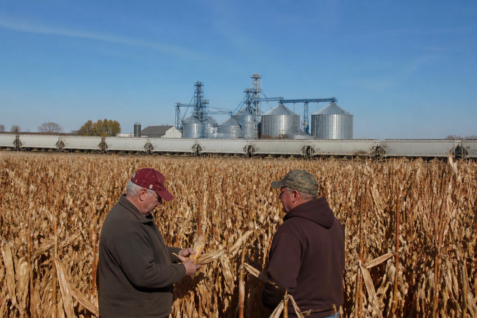 Texas Grain Market Landscape: Logistics Upgrades and Financial Headwinds