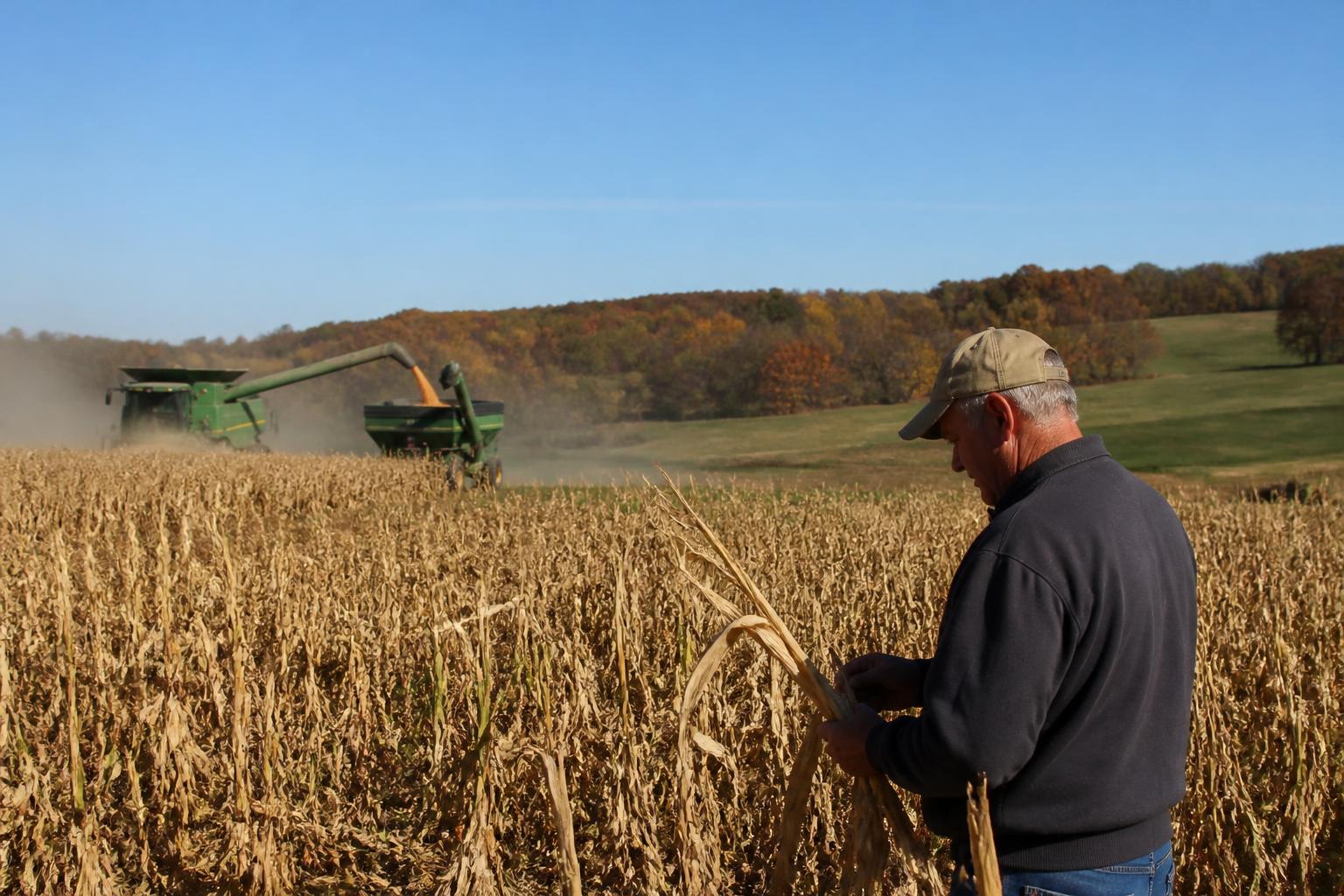 Idaho Producers: Strategic Planning for 2026-2027 Federal Risk Protection - AgroPost