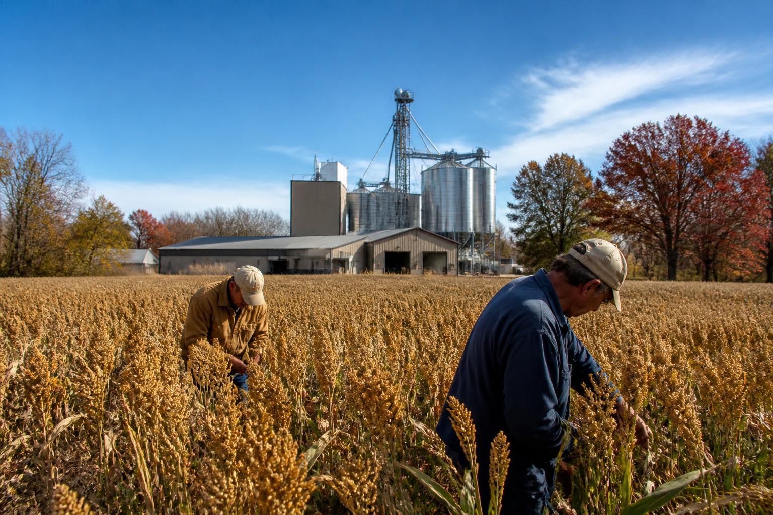 Oklahoma Fertilizer Outlook: Navigating Input Costs Amid Late-Season Volatility